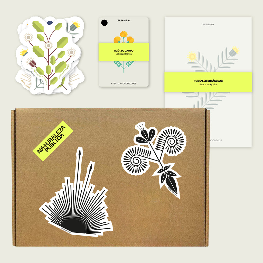 Cajita Guardián de la Estepa