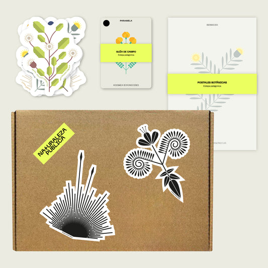 Cajita Guardián de la Estepa