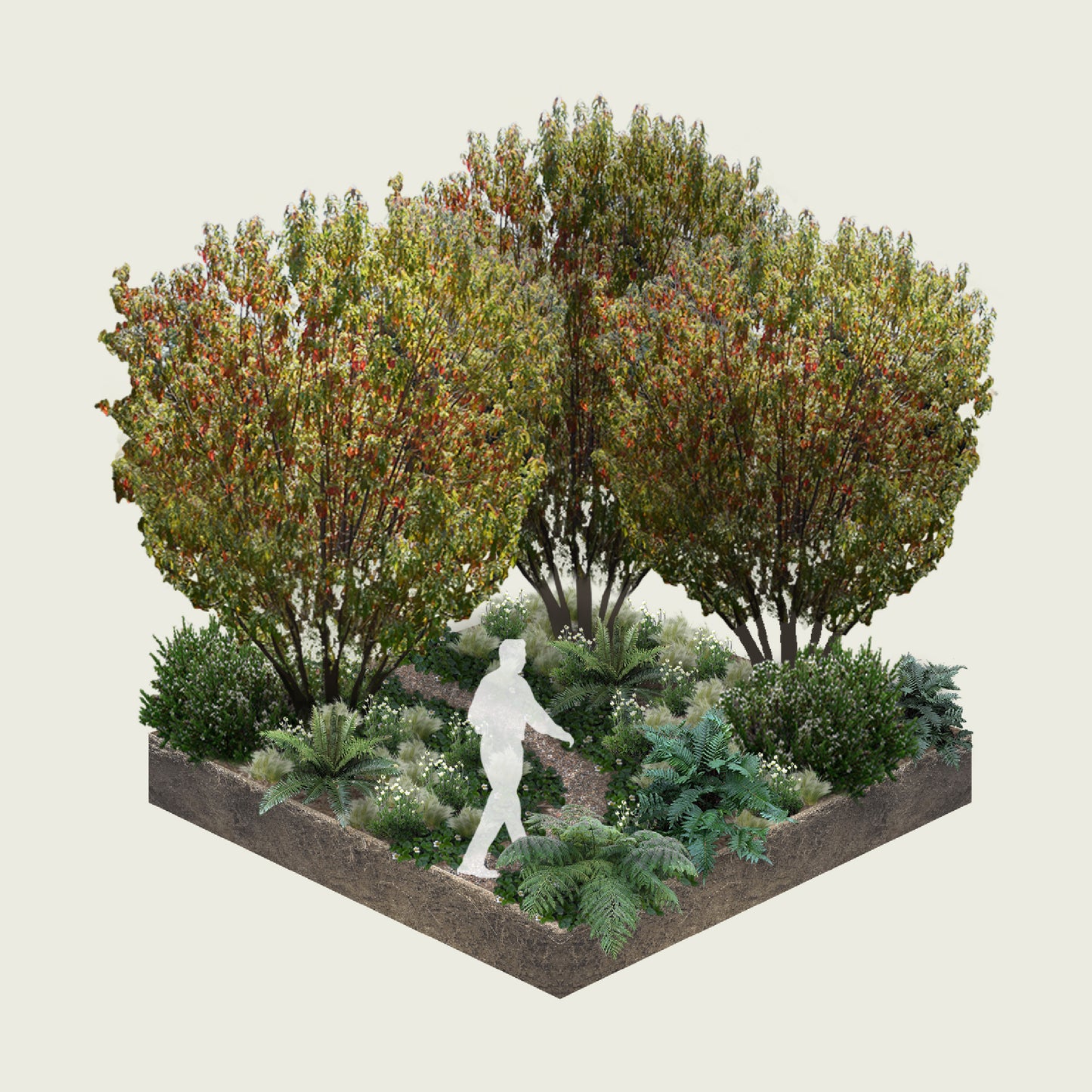 Pack Dehesa Siempreverde