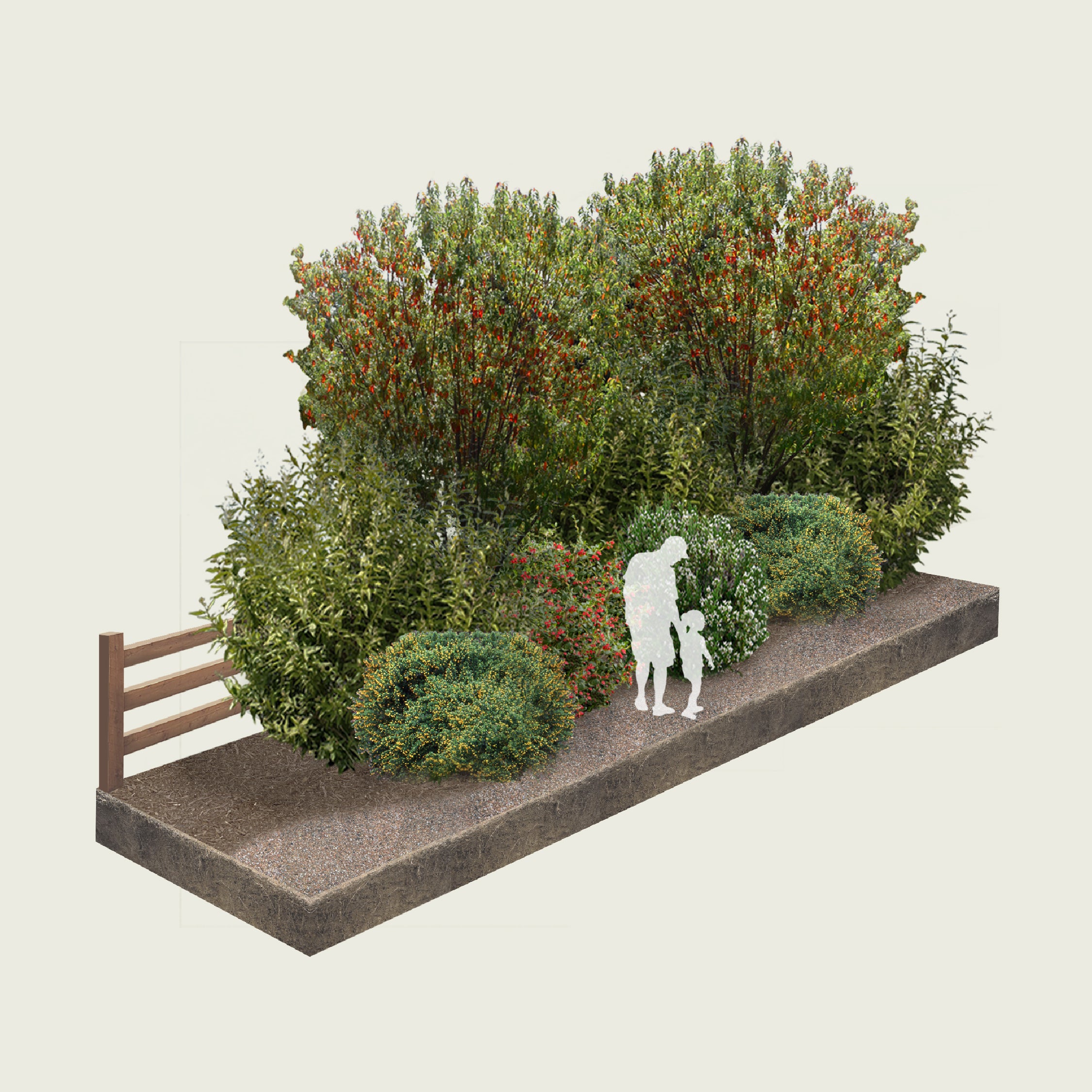 Pack Cerco Vivo Siempreverde