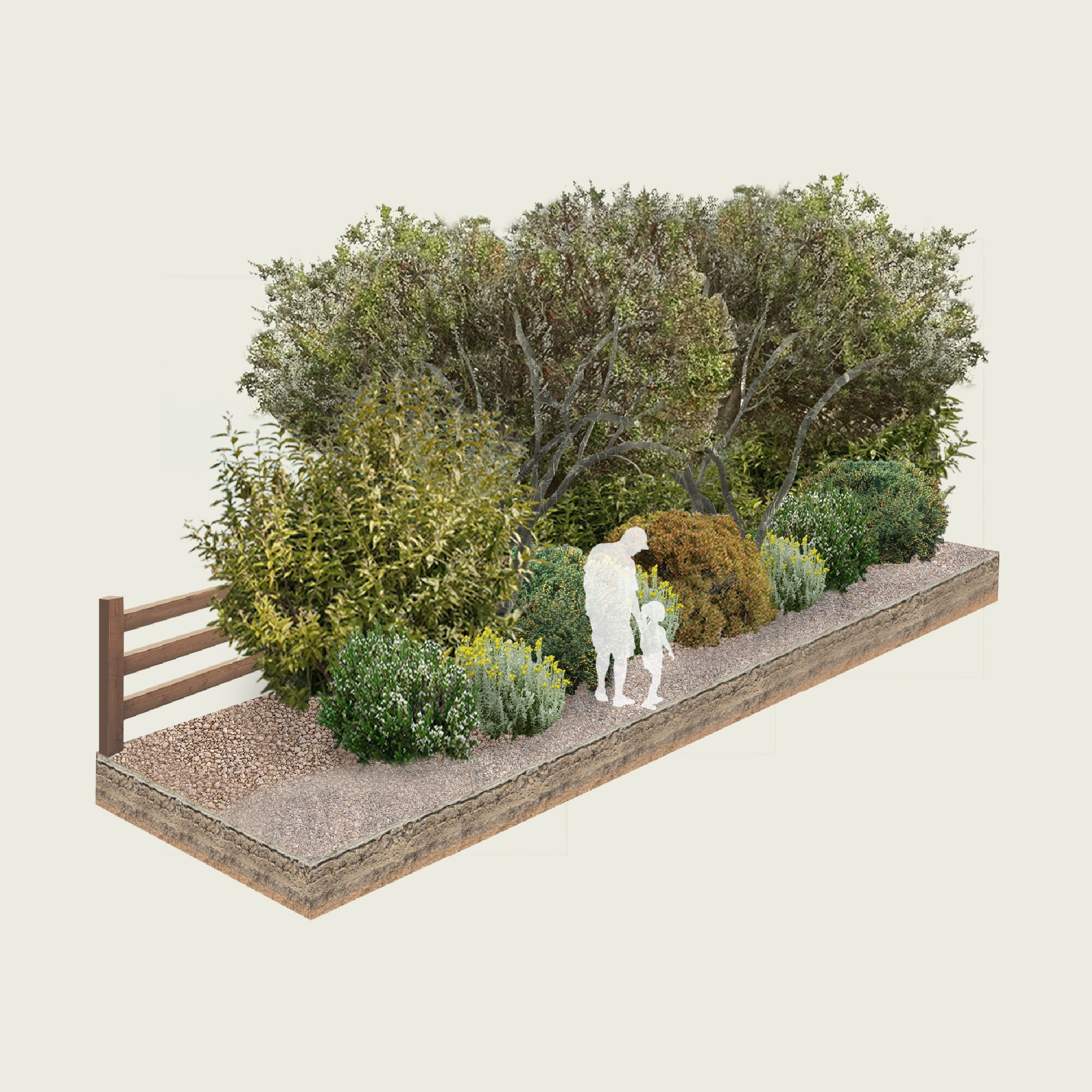 Pack Cerco Vivo de Estepa