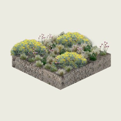 Pack Pradera de Estepa