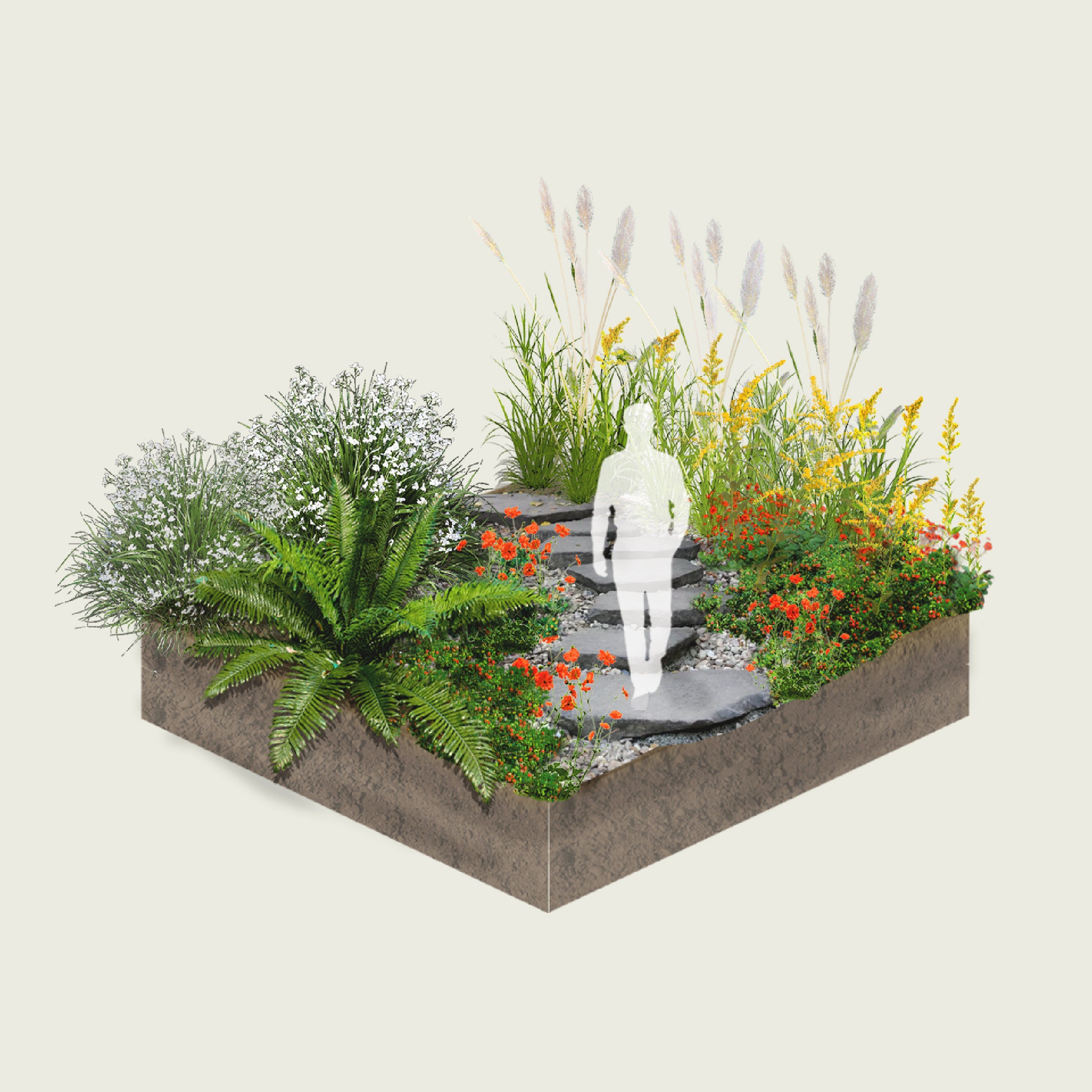 Pack Jardín de Lluvia