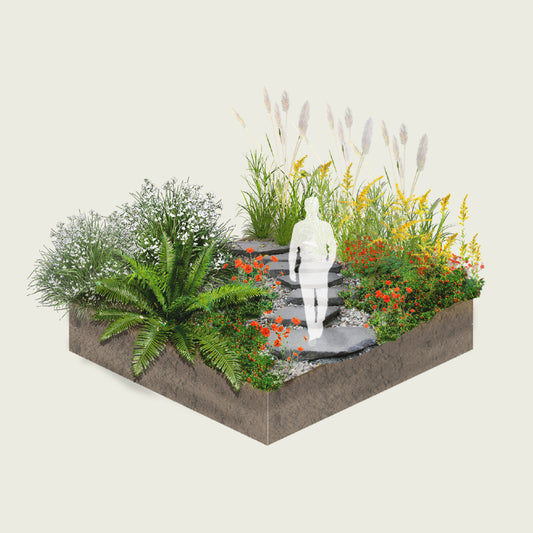 Pack Jardín de Lluvia