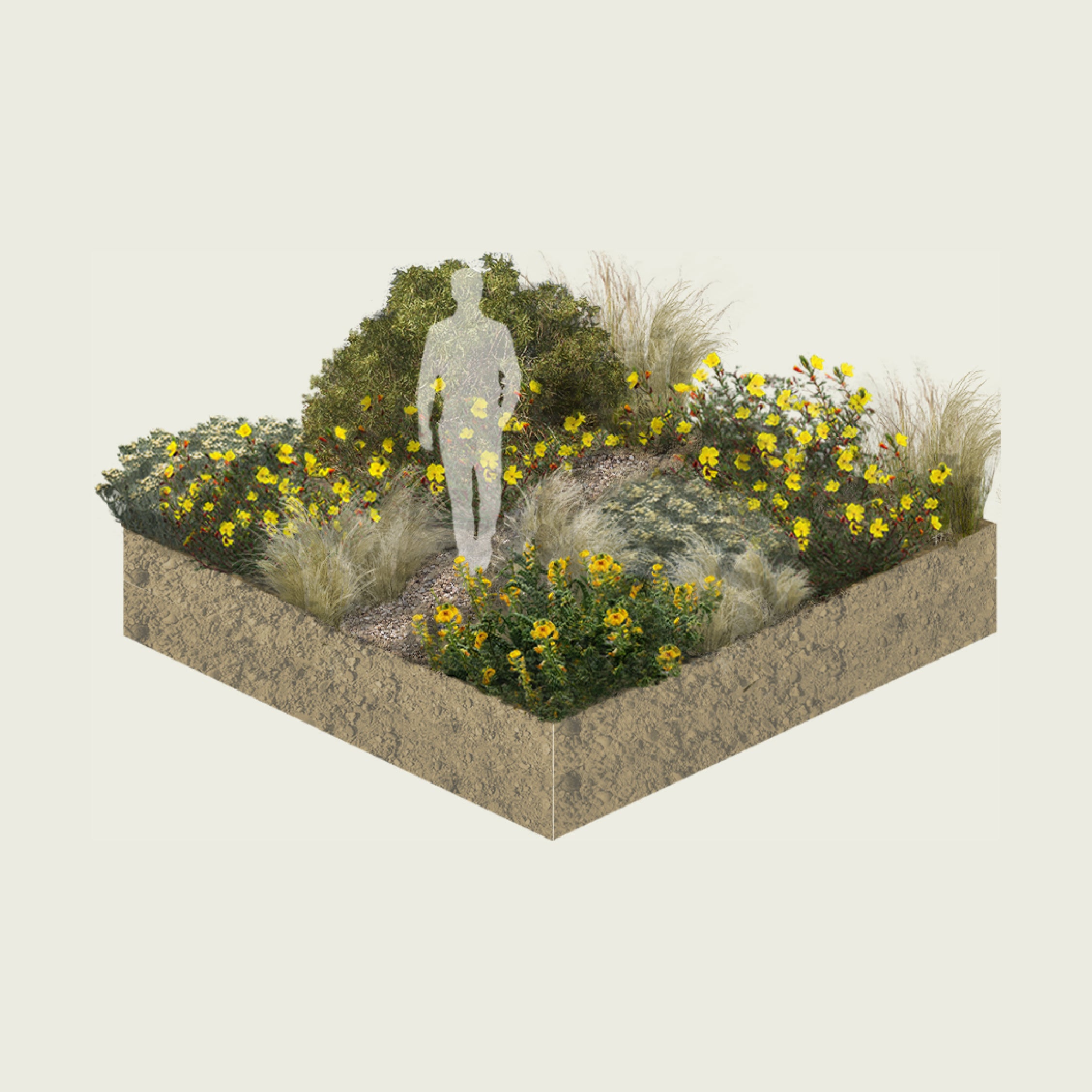 Pack Matorral de Estepa