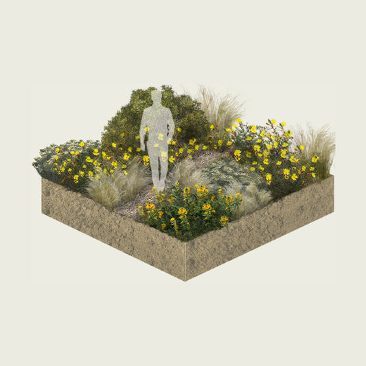 Pack Matorral de Estepa