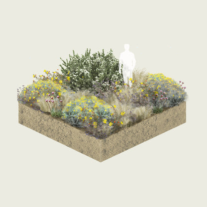 Pack Jardín de Estepa