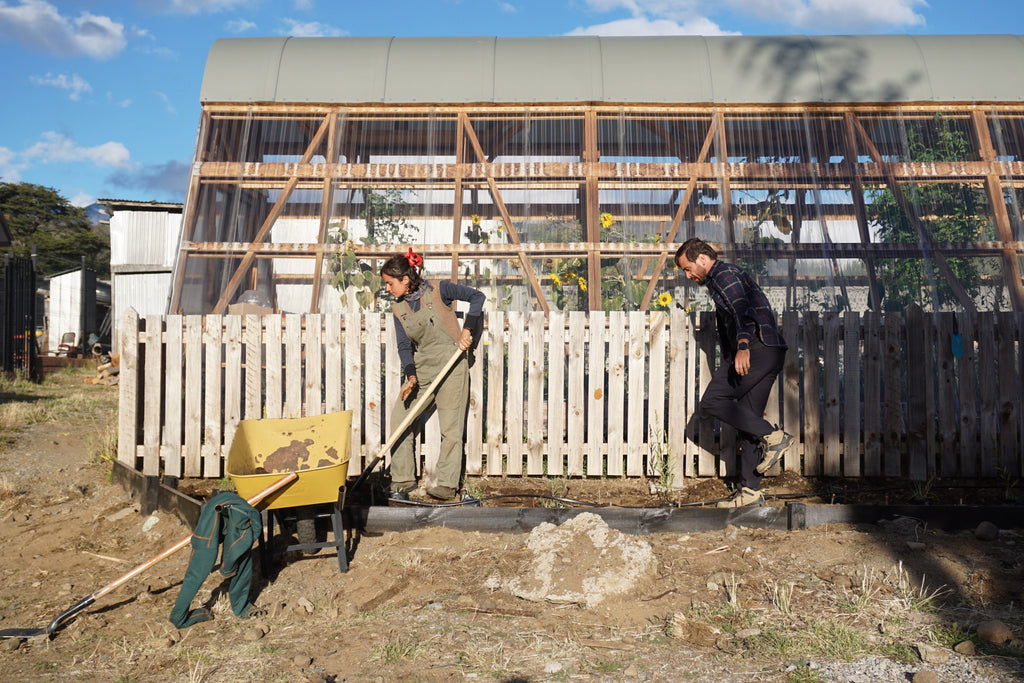 Jardín Medicinal Nativo: Mi Aula Ambiental