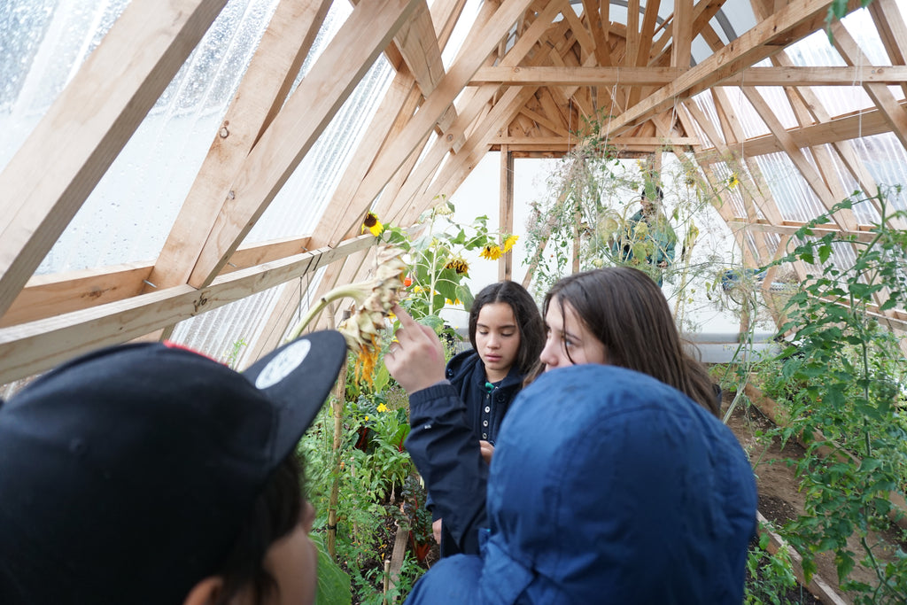 Jardín Medicinal Nativo: Mi Aula Ambiental