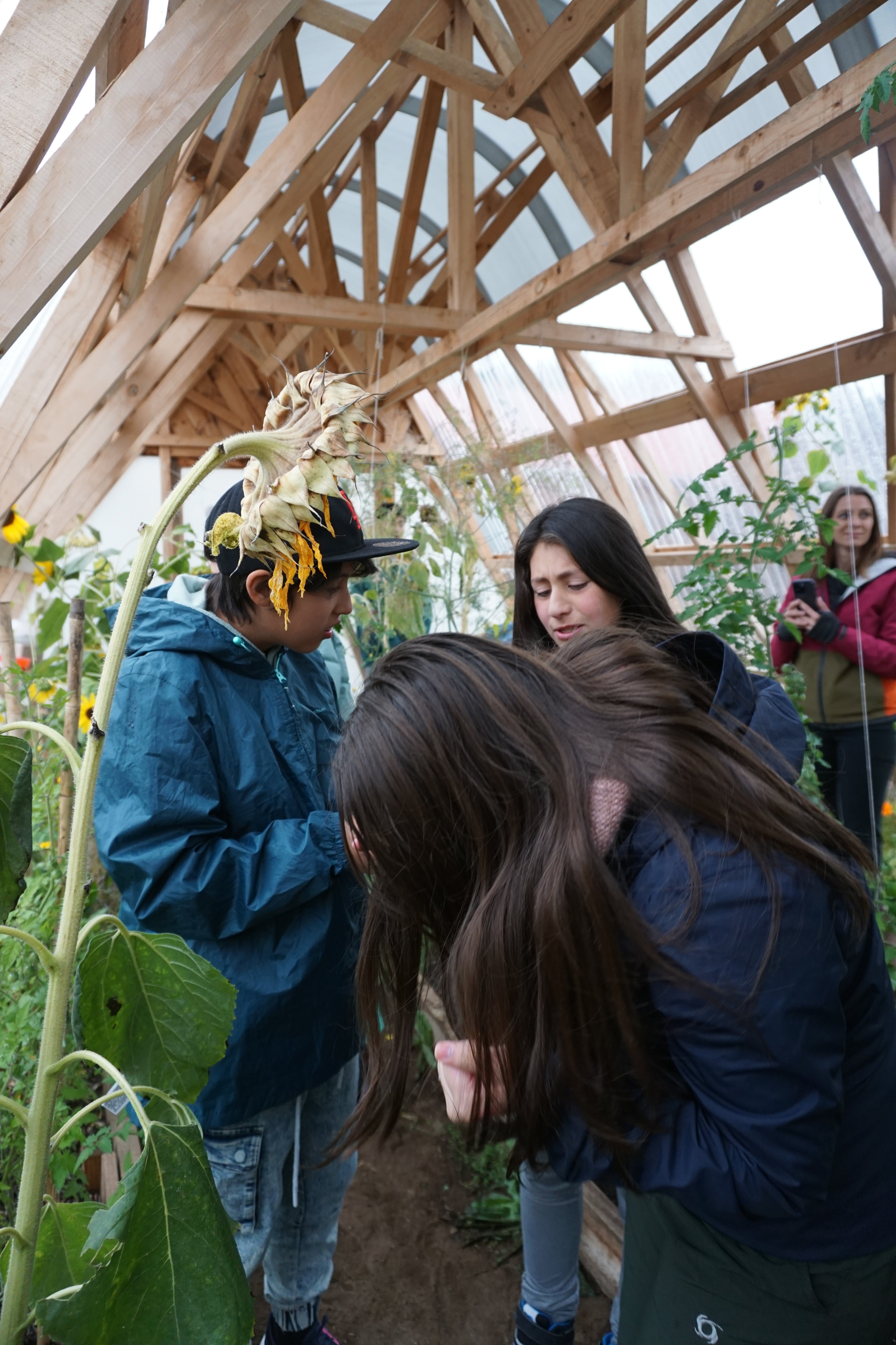 Jardín Medicinal Nativo: Mi Aula Ambiental