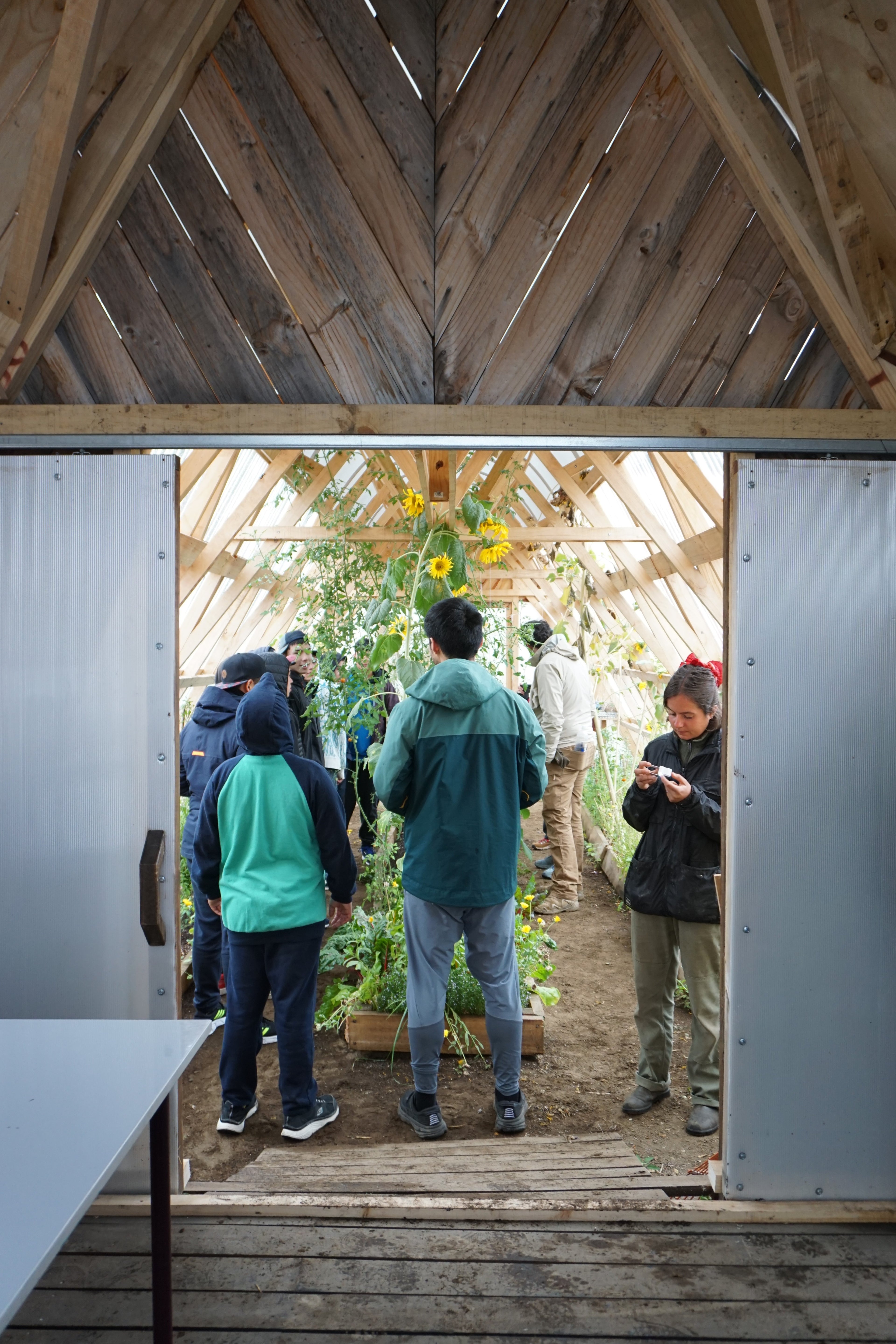 Jardín Medicinal Nativo: Mi Aula Ambiental