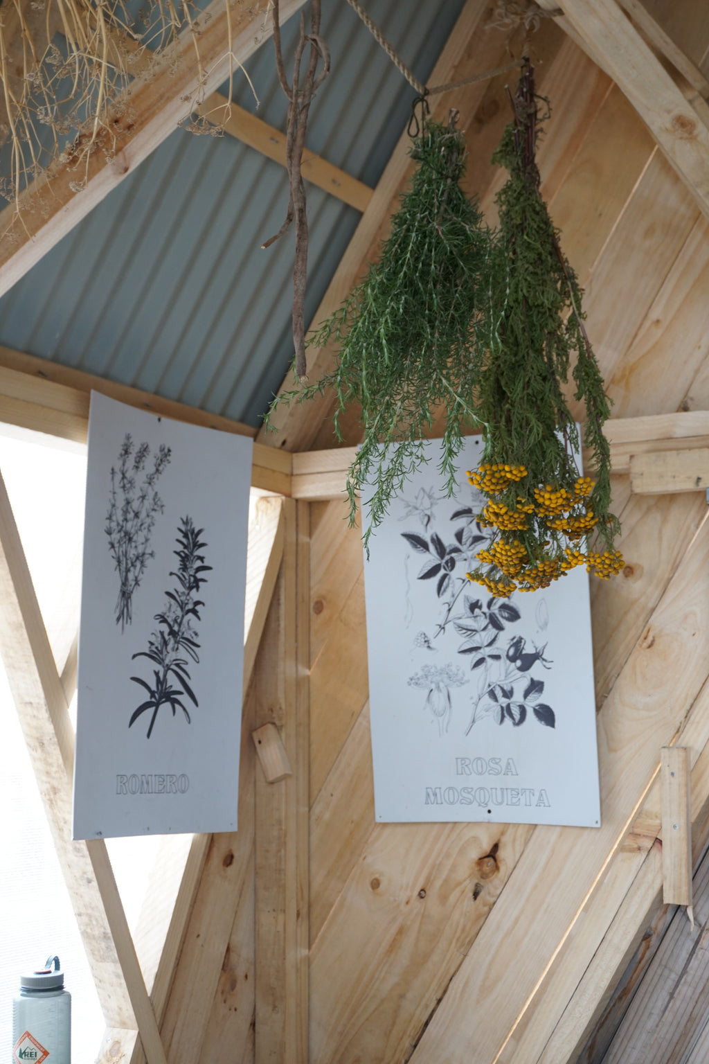 Jardín Medicinal Nativo: Mi Aula Ambiental