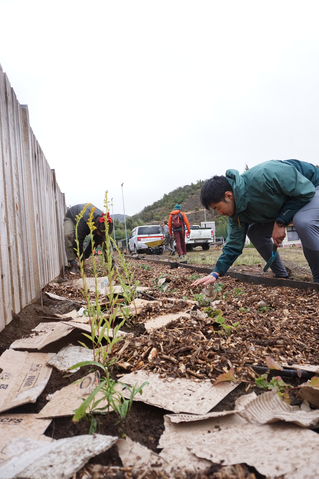 Jardín Medicinal Nativo: Mi Aula Ambiental