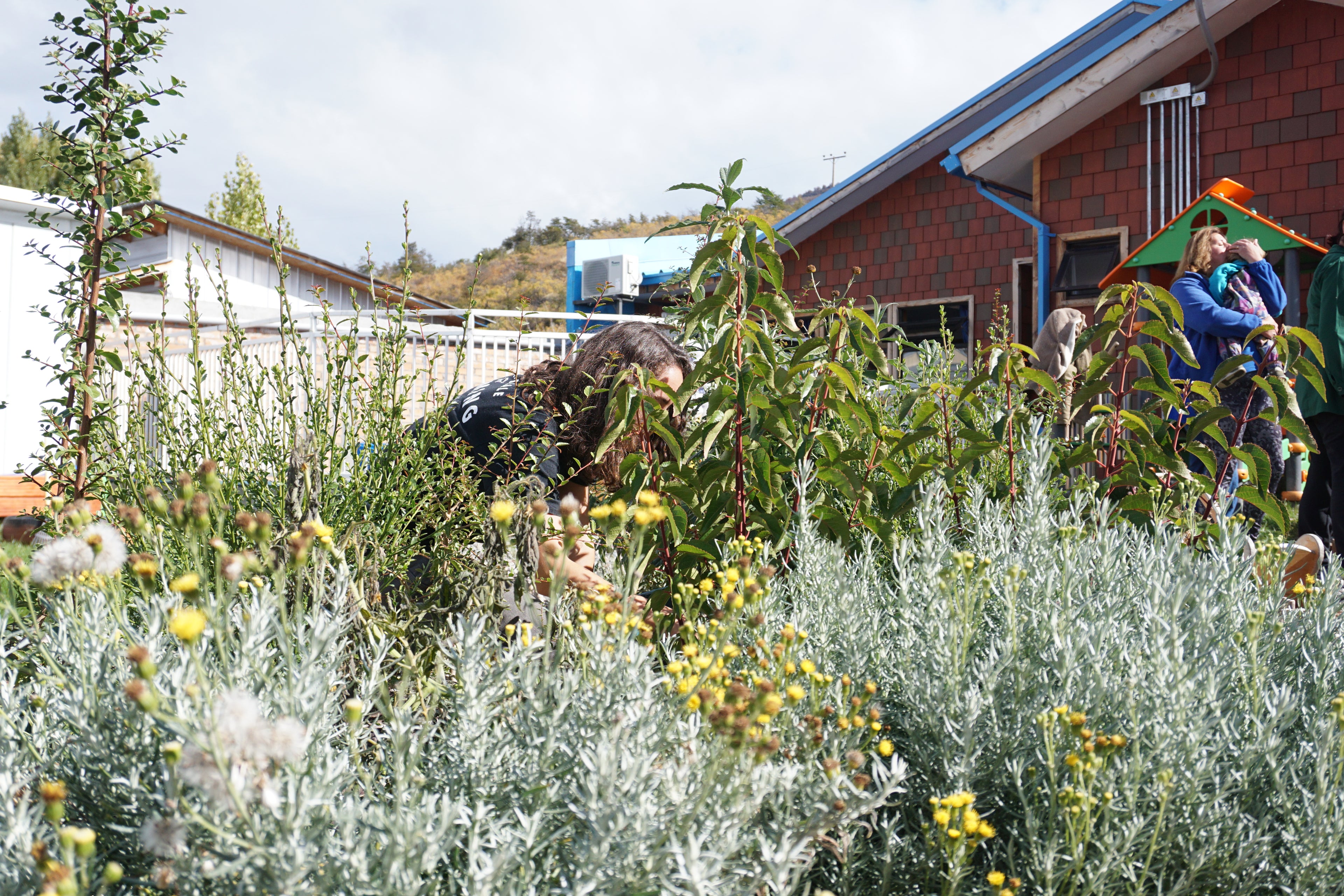 Bosque Miyawaki Jardín Infantil El Paraíso