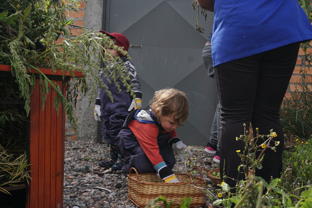 Bosque Miyawaki Jardín Infantil El Paraíso
