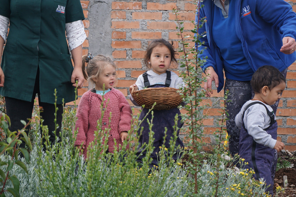 Bosque Miyawaki Jardín Infantil El Paraíso