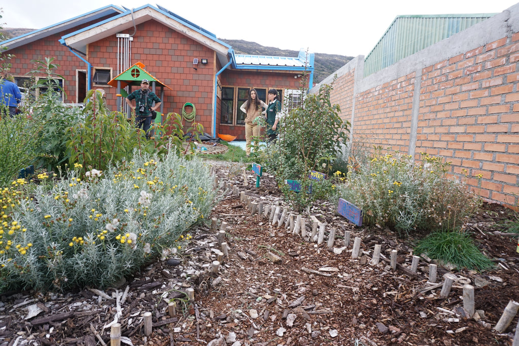 Bosque Miyawaki Jardín Infantil El Paraíso
