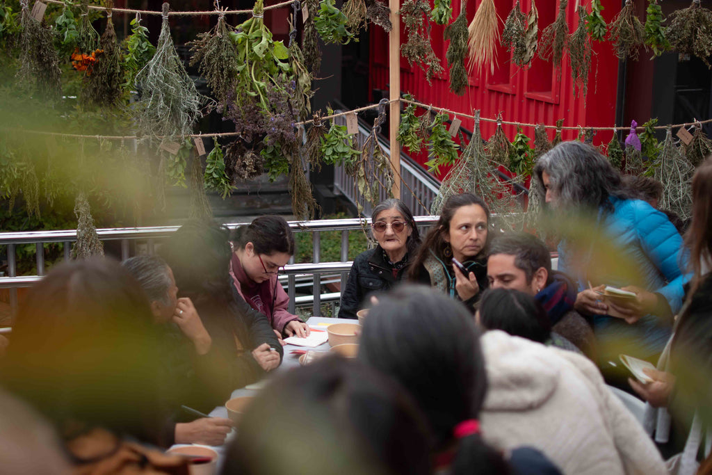 Jardín Etnobotánico de Cochrane