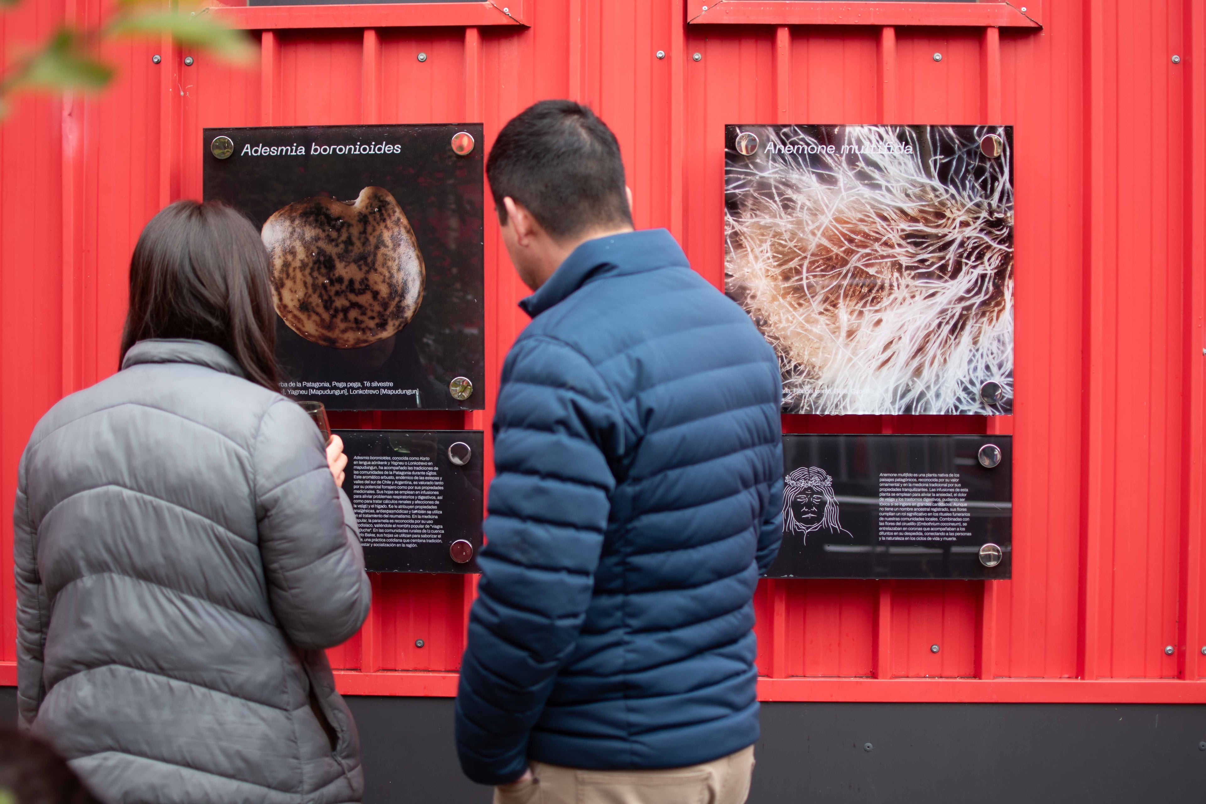 Jardín Etnobotánico de Cochrane