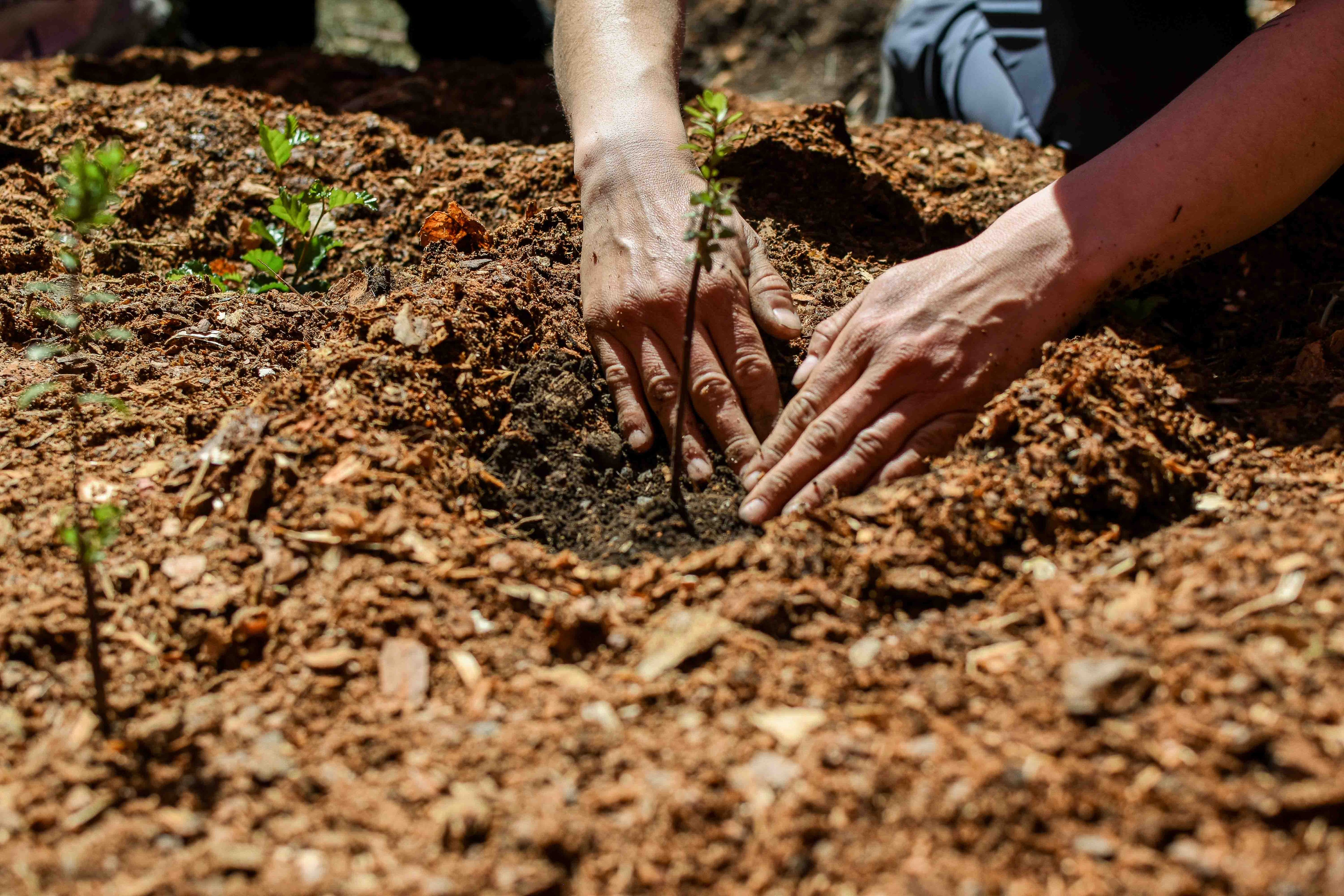 Jardín Etnobotánico de Cochrane