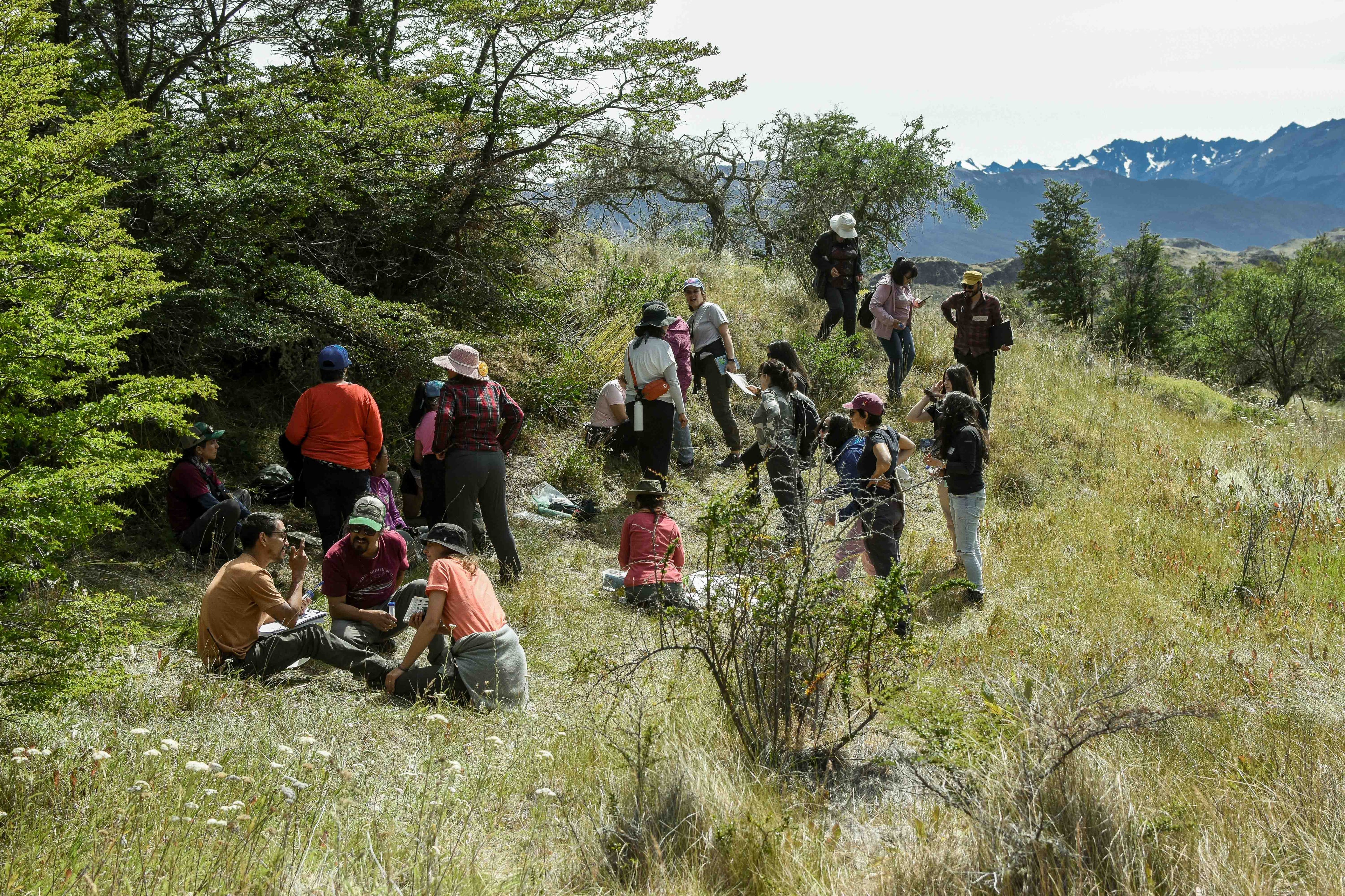 Jardín Etnobotánico de Cochrane