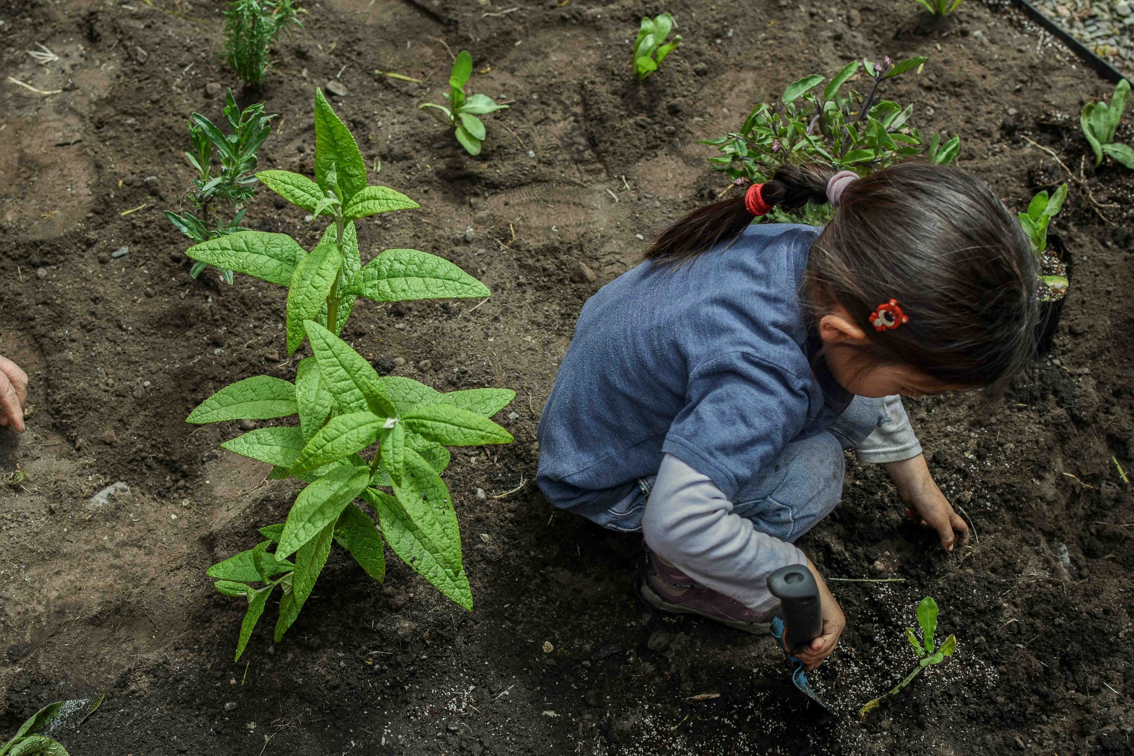 Jardín Etnobotánico de Cochrane