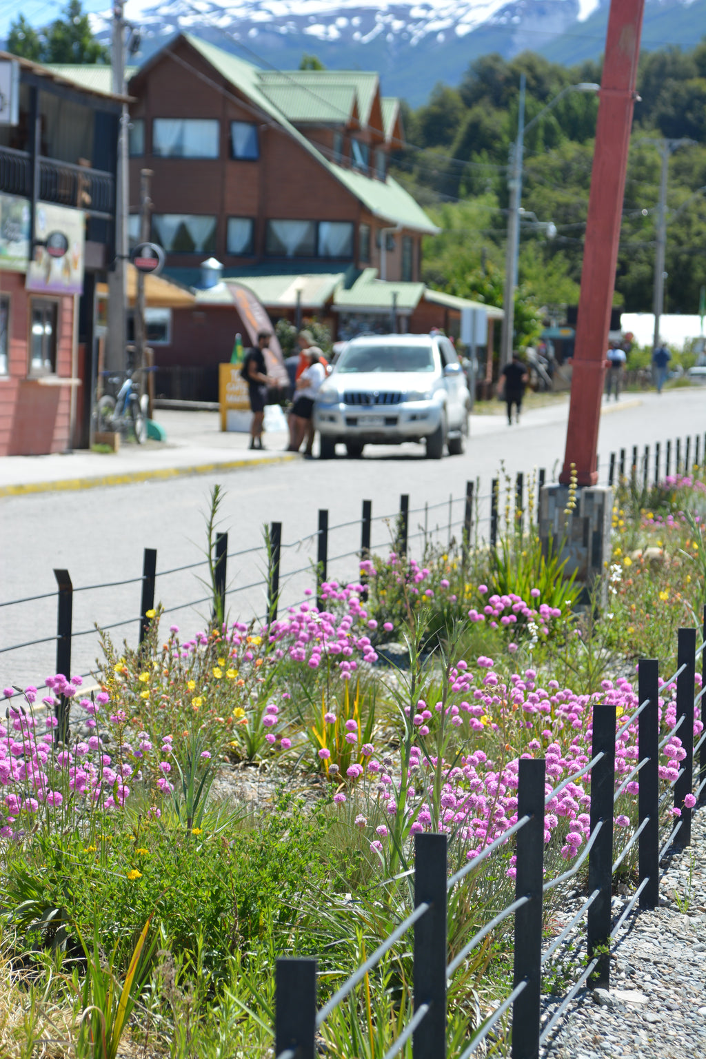 De Bandejón Urbano a Conector Ecológico