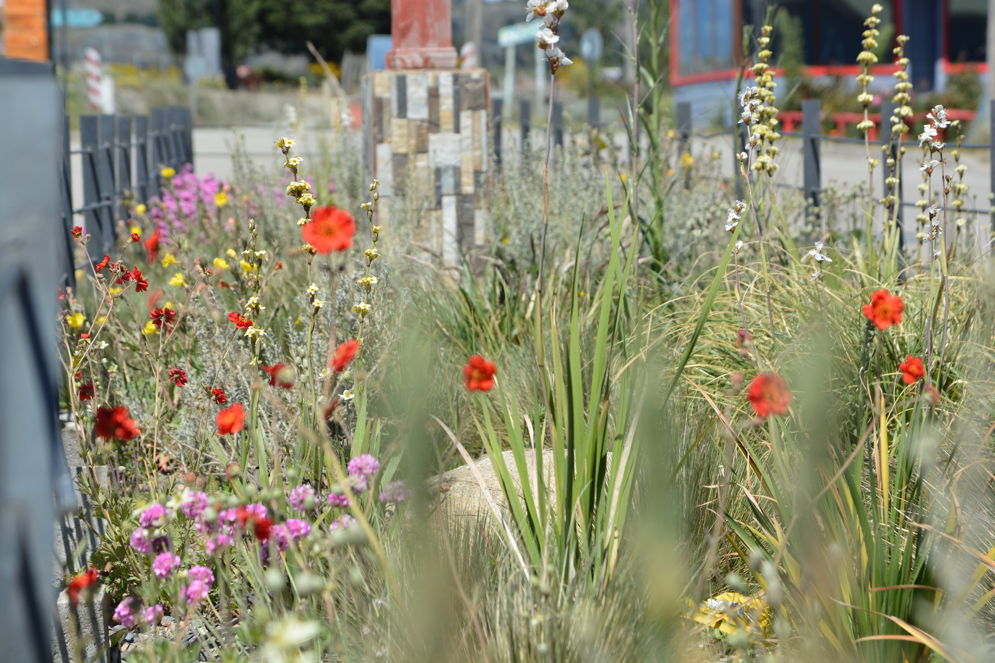 De Bandejón Urbano a Conector Ecológico