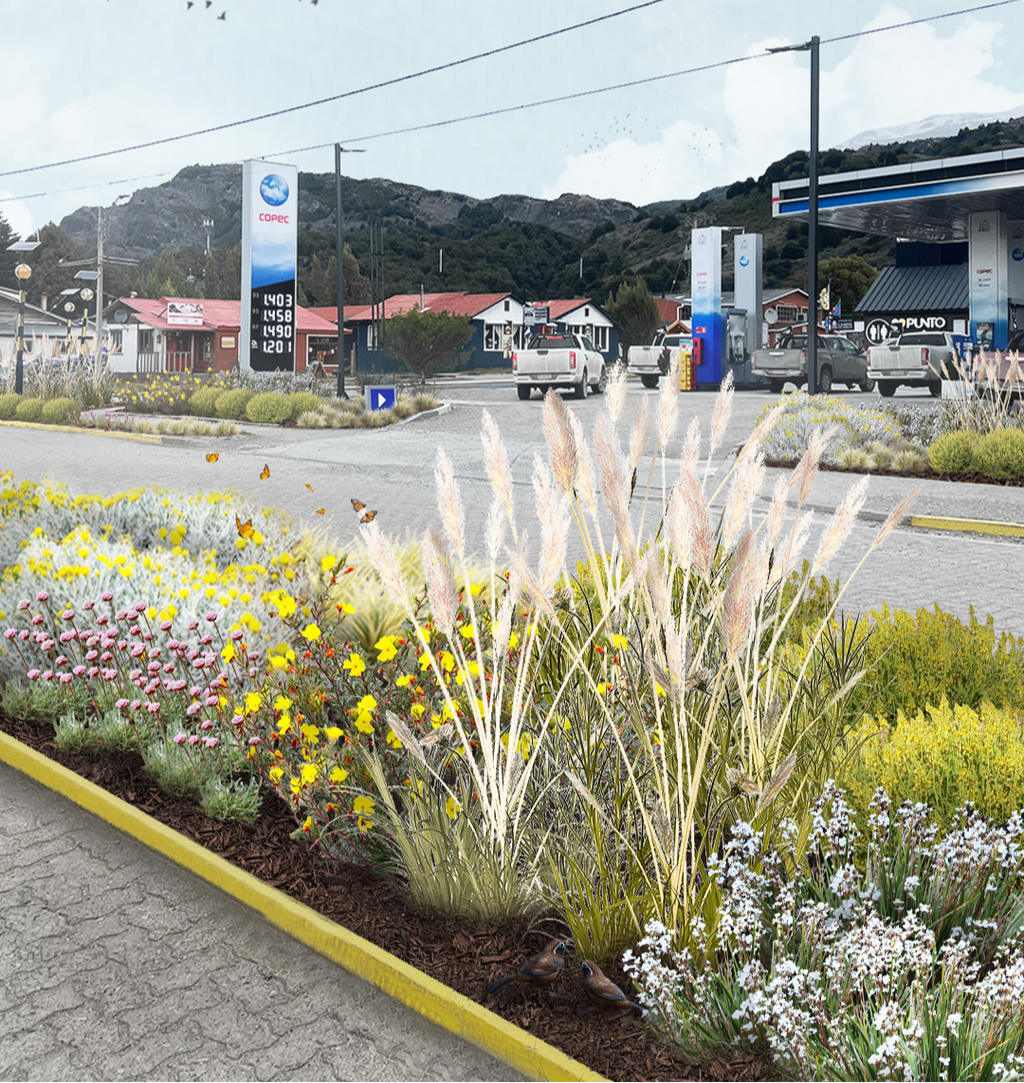 De Bandejón Urbano a Conector Ecológico