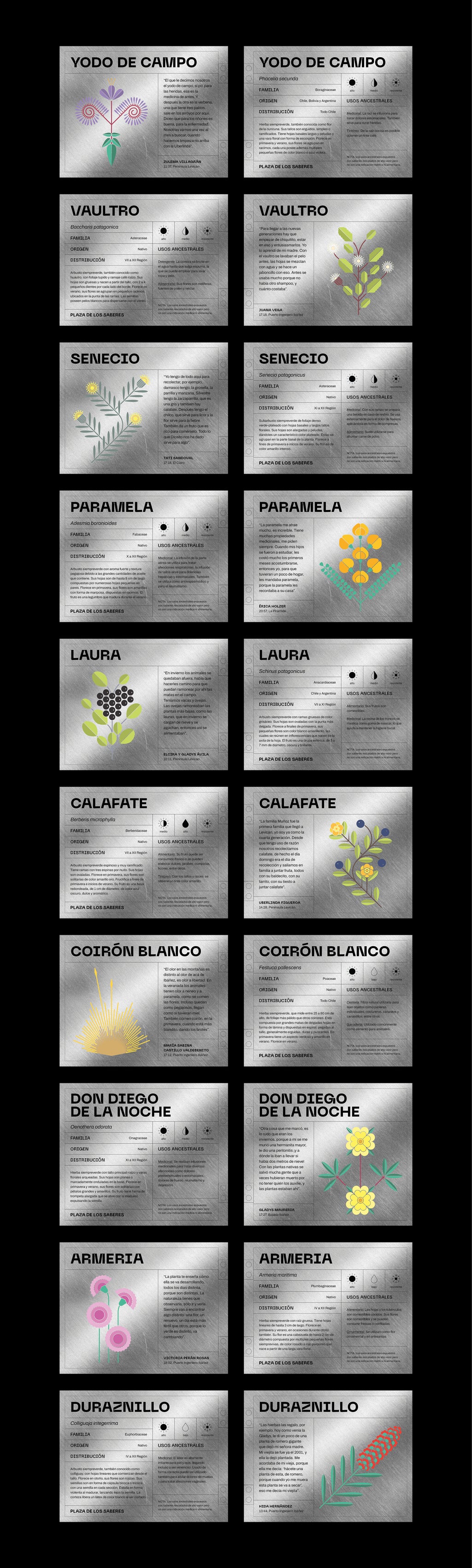 Plaza de los Saberes