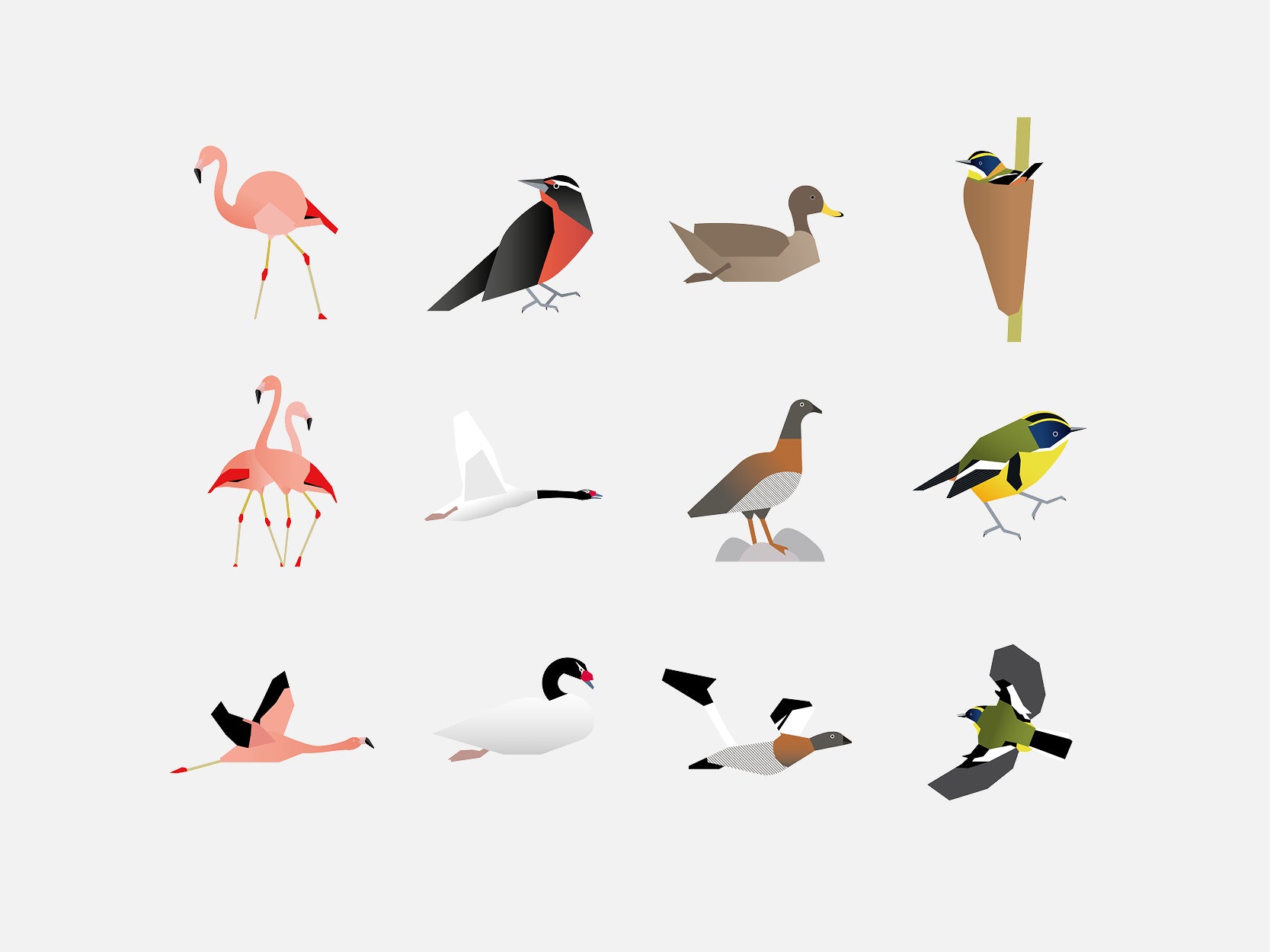 Museografía Humedal Urbano Vientos del Chelenko