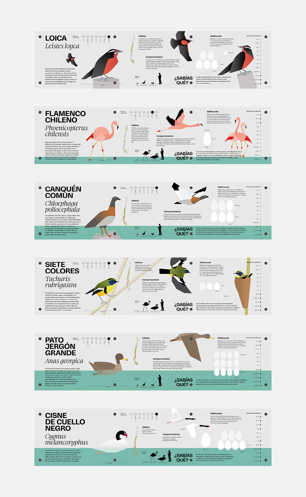 Museografía Humedal Urbano Vientos del Chelenko