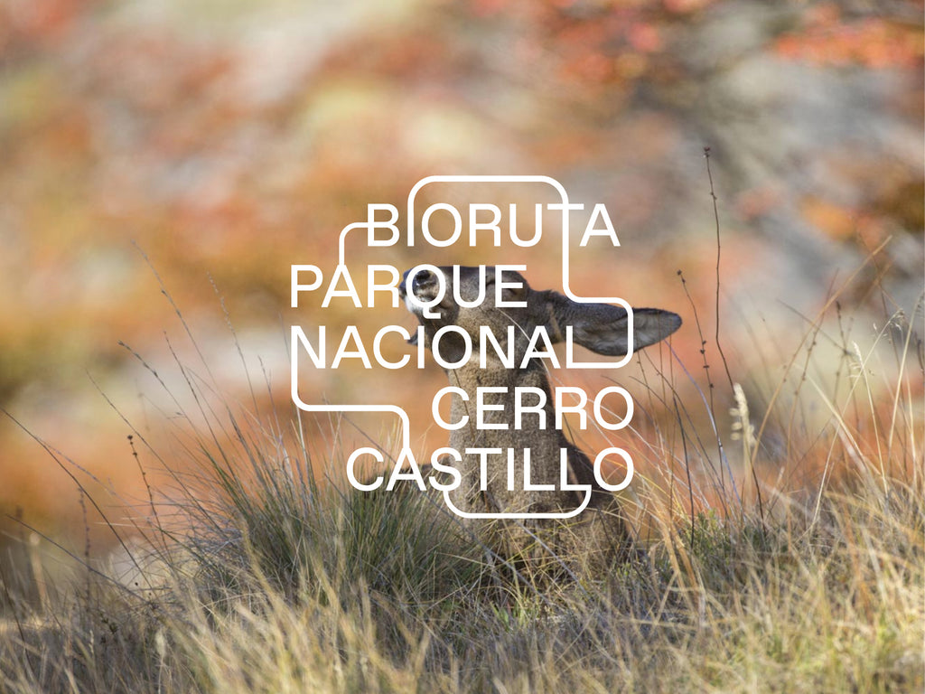 Bioruta Parque Nacional Cerro Castillo