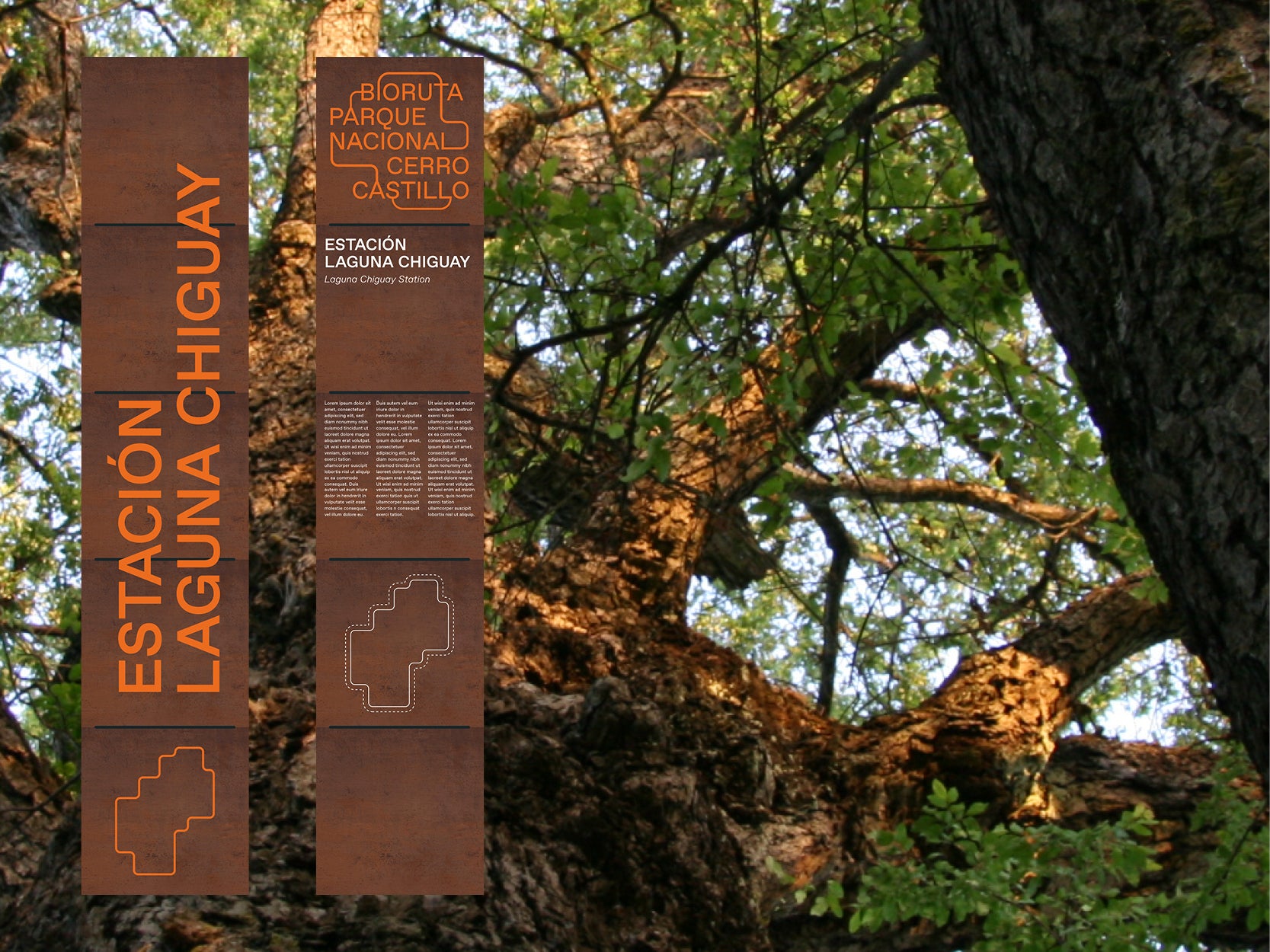 Bioruta Parque Nacional Cerro Castillo