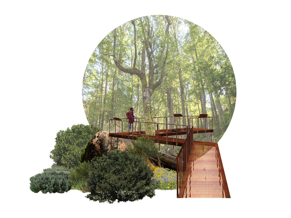 Bioruta Parque Nacional Cerro Castillo