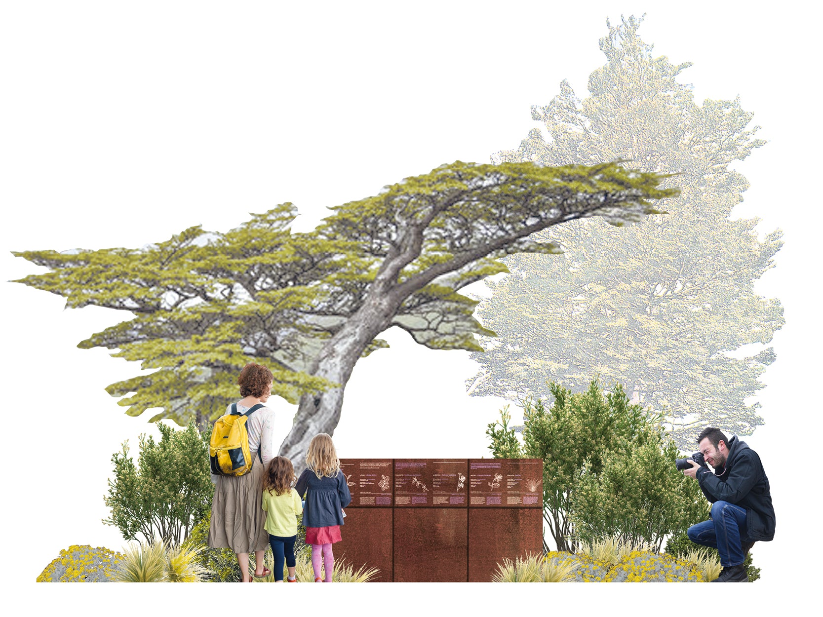 Bioruta Parque Nacional Cerro Castillo