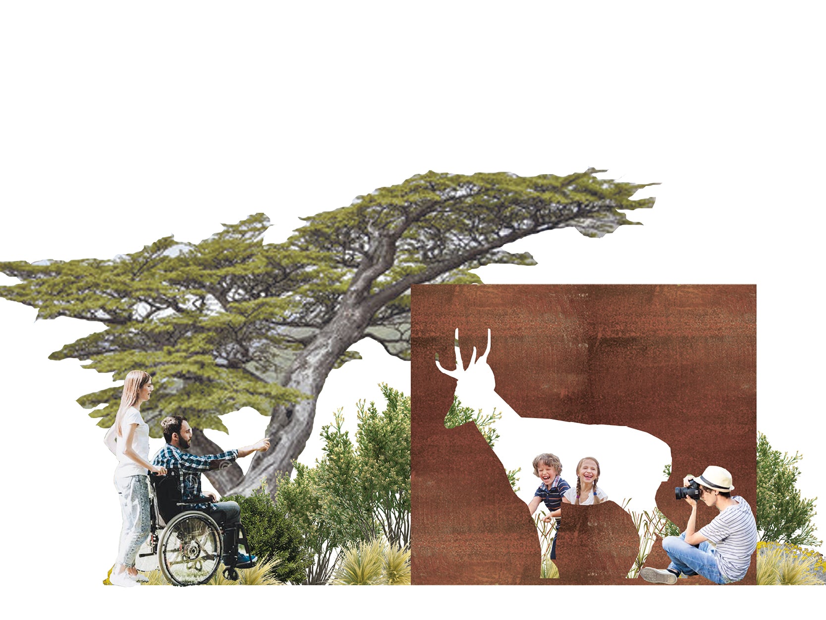 Bioruta Parque Nacional Cerro Castillo