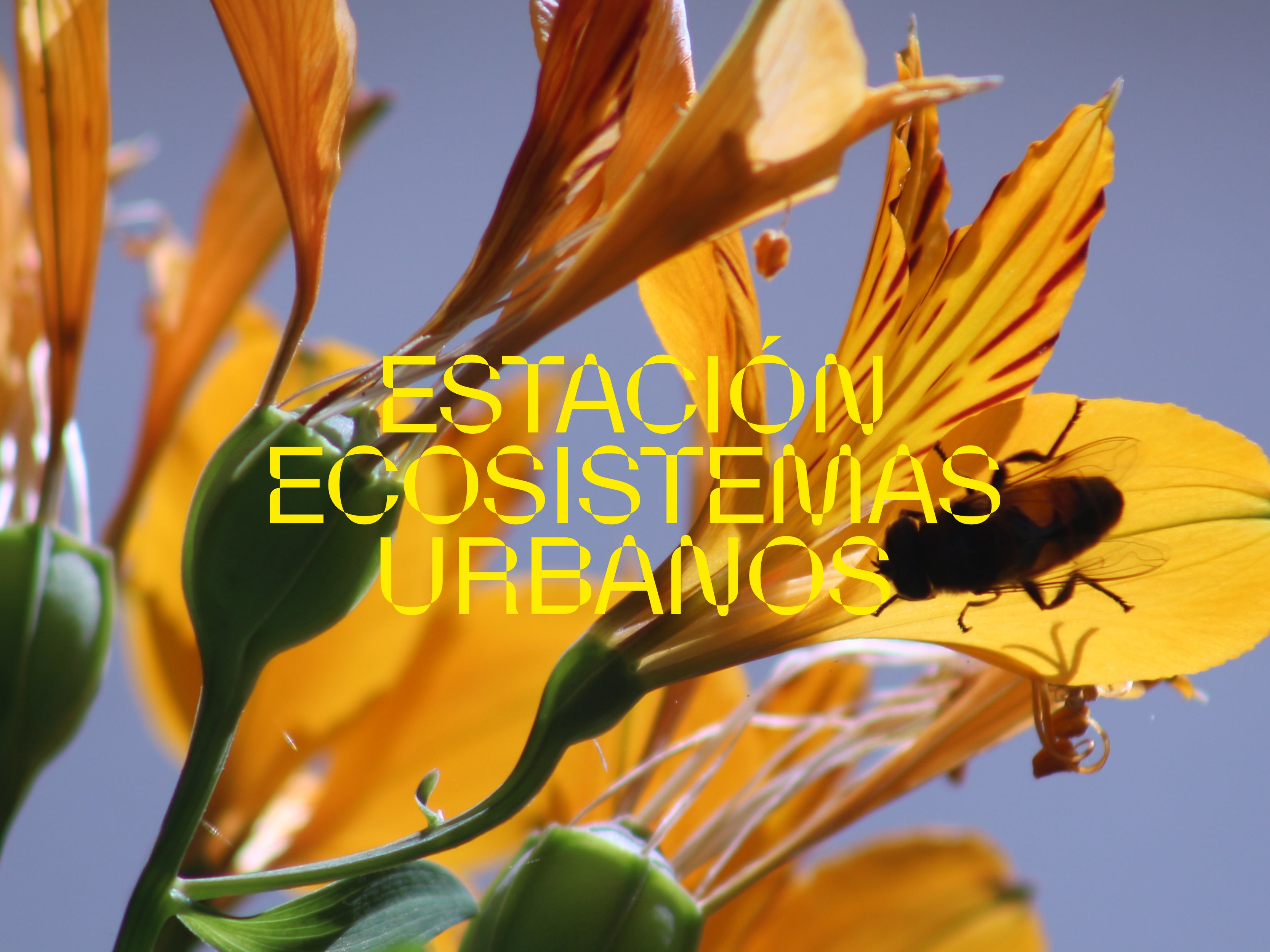 Museografía Estación Ecosistemas Urbanos
