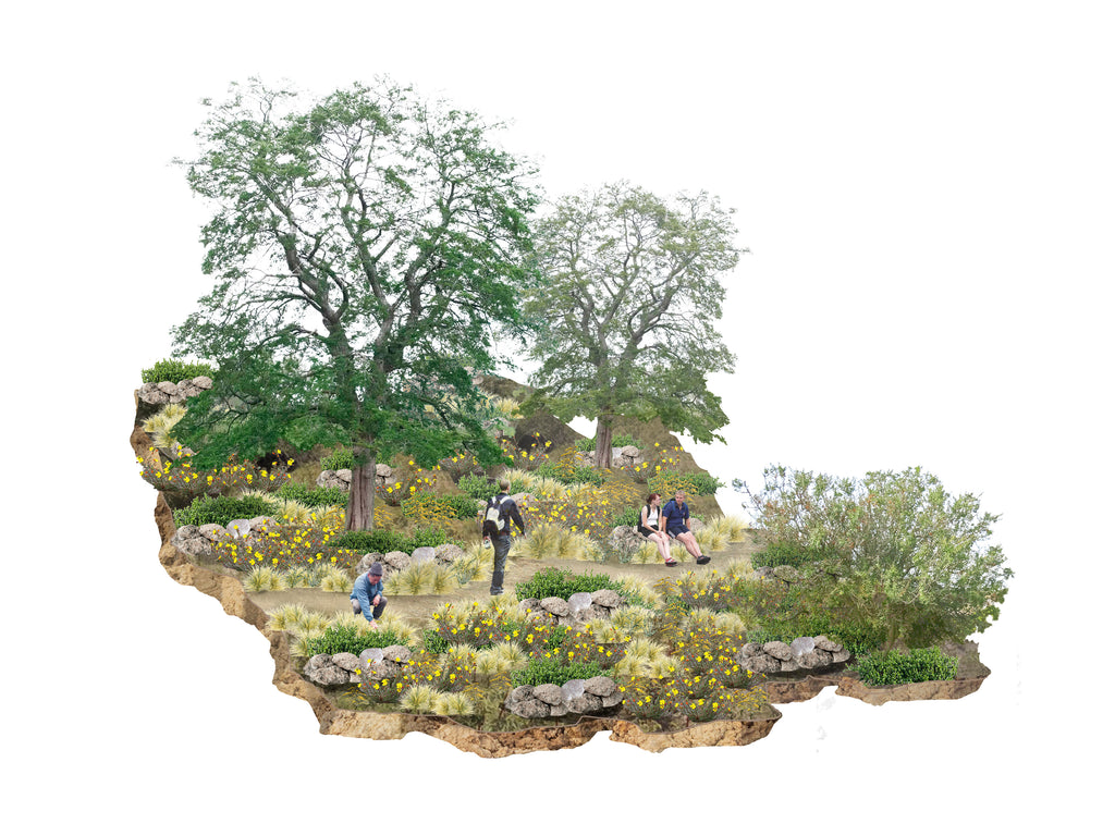 Plan Maestro Parque Urbano Puerto Guadal