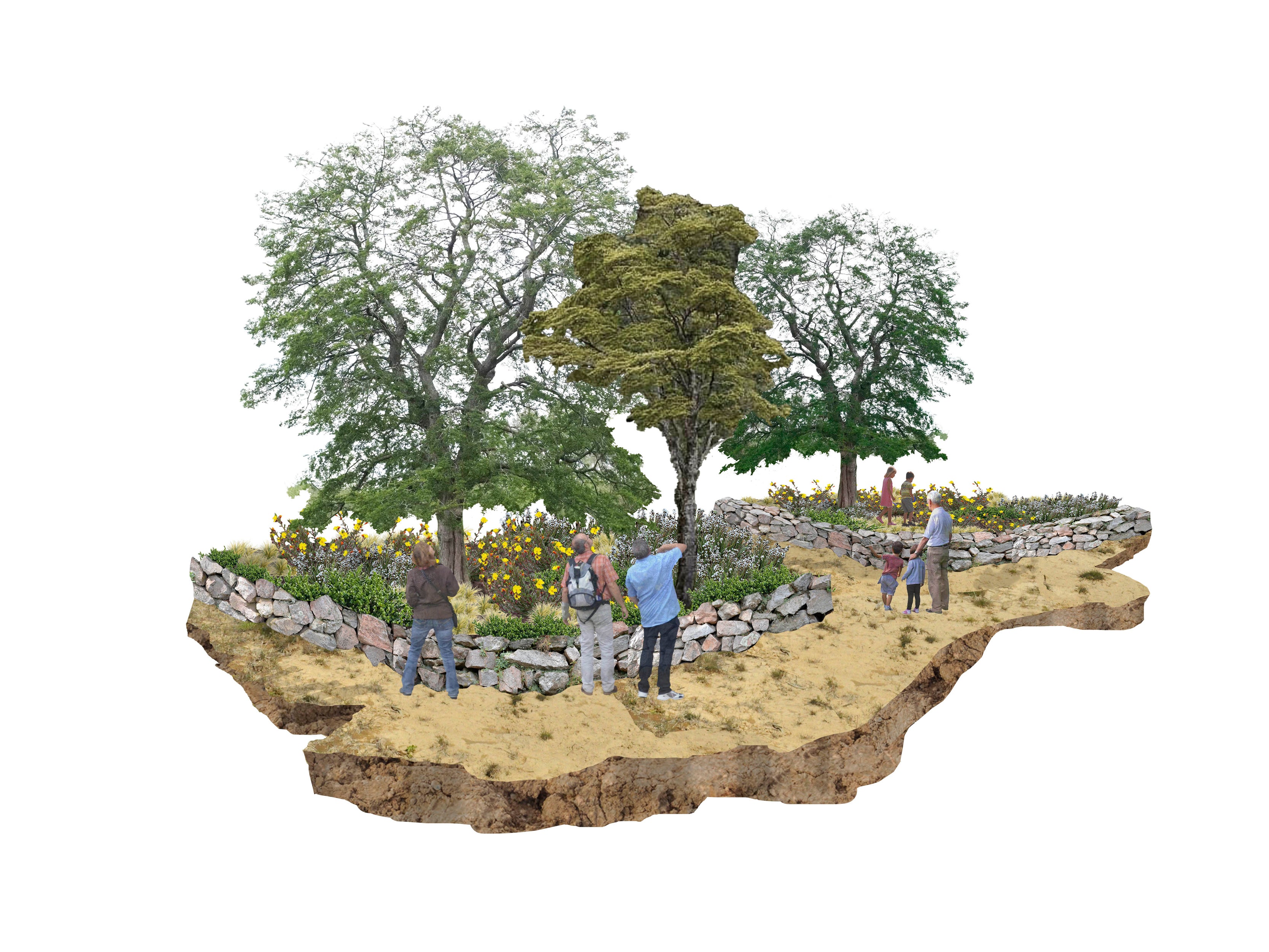 Plan Maestro Parque Urbano Puerto Guadal