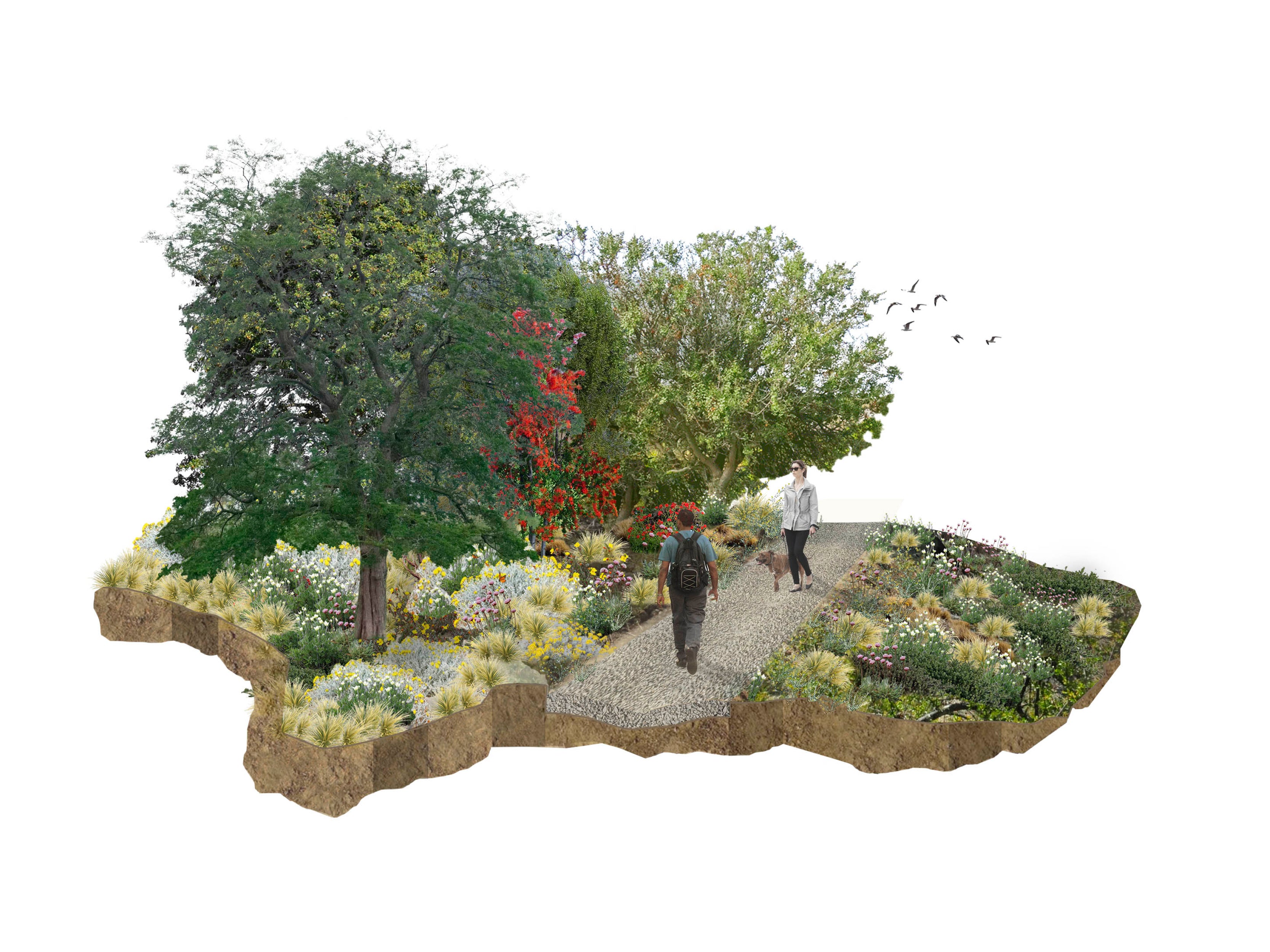 Plan Maestro Parque Urbano Puerto Guadal