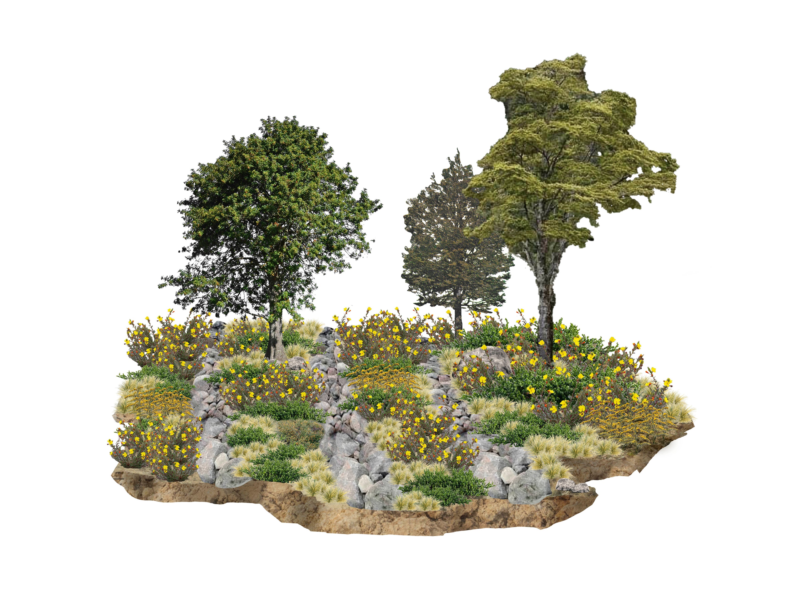 Plan Maestro Parque Urbano Puerto Guadal