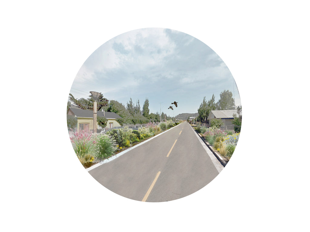 Plan Maestro de Áreas Verdes Puerto Ibáñez