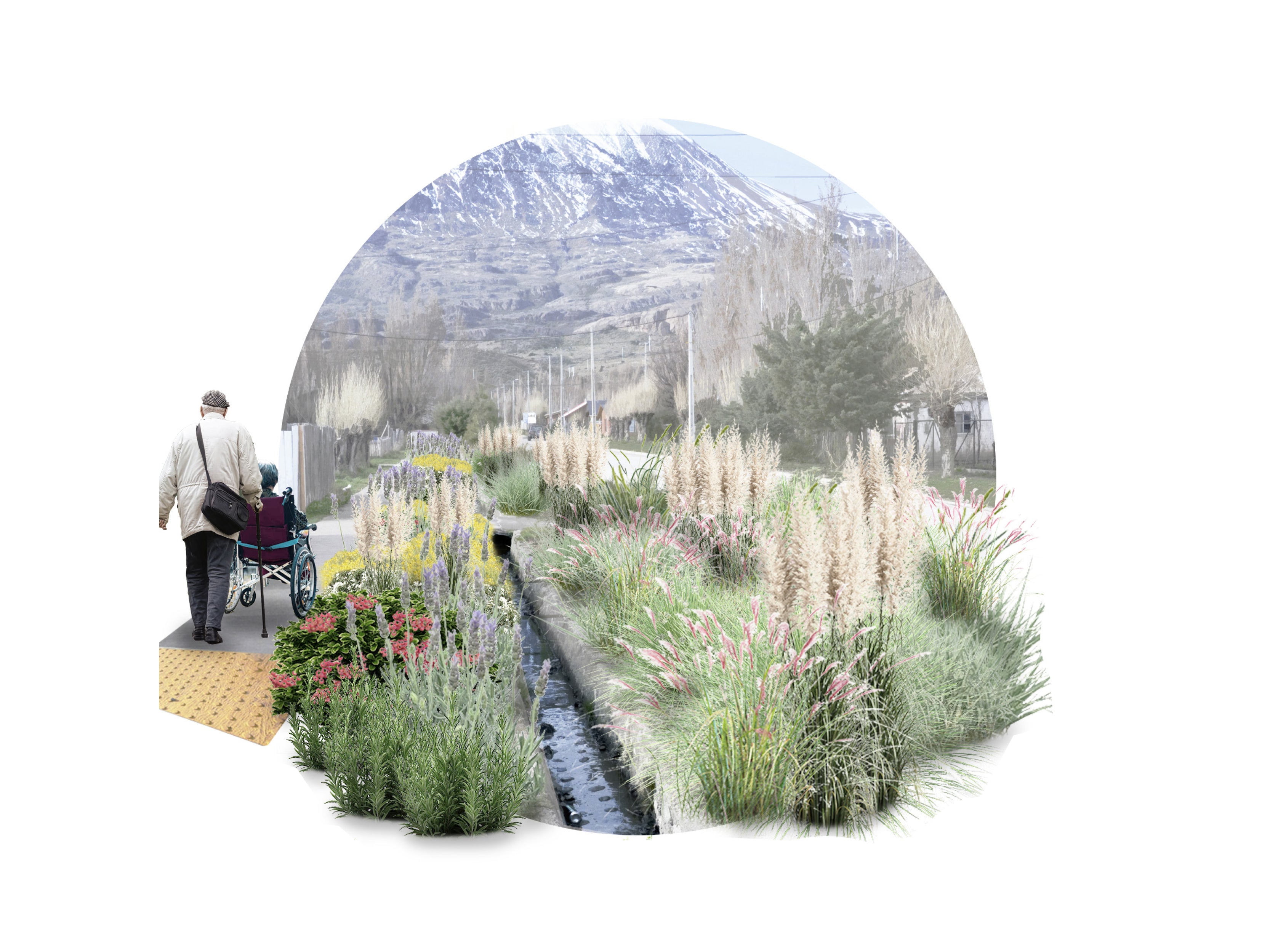 Plan Maestro de Áreas Verdes Puerto Ibáñez