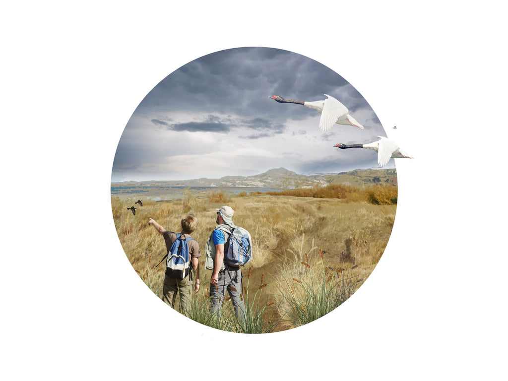 Plan Maestro de Áreas Verdes Puerto Ibáñez