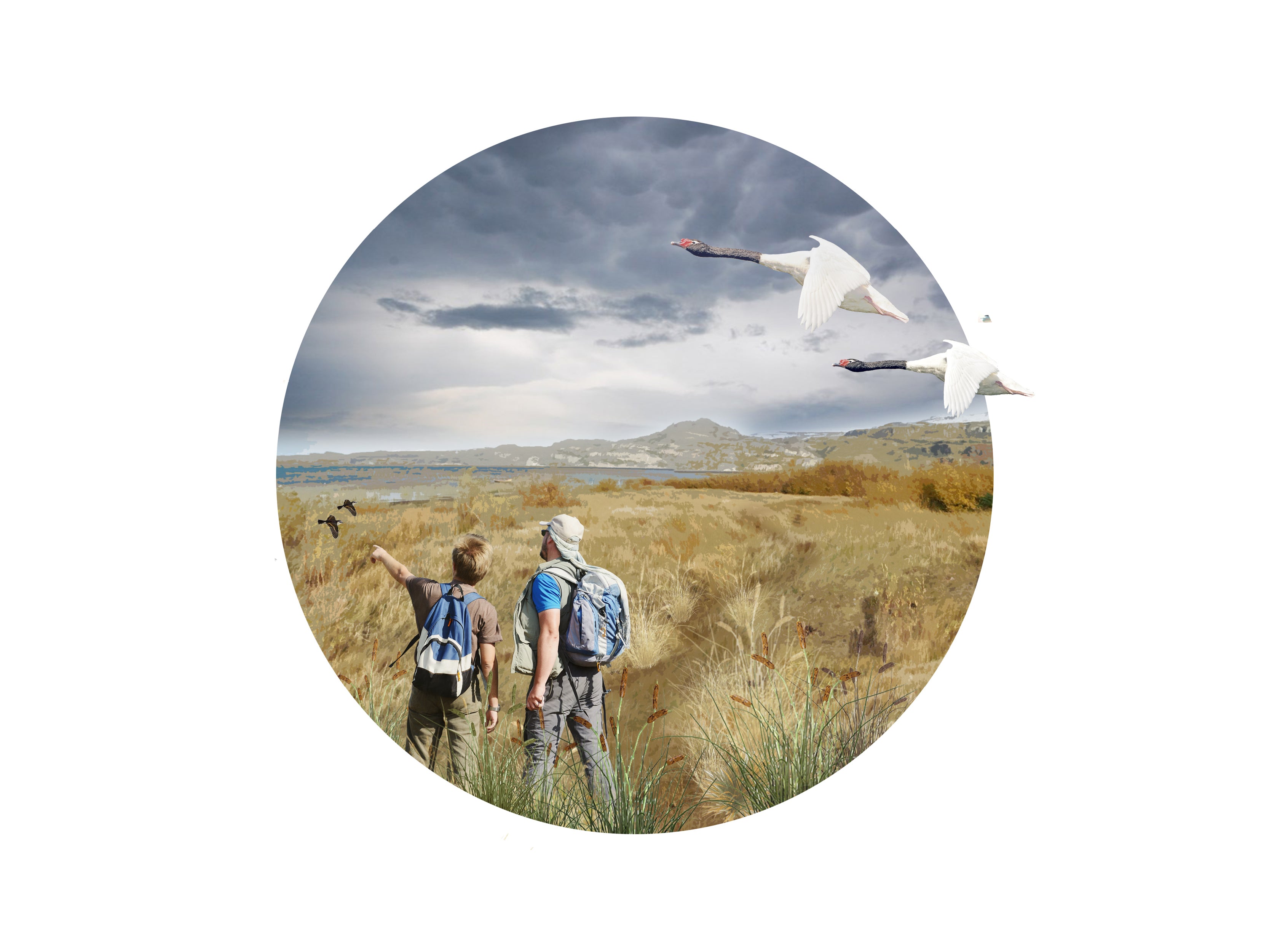 Plan Maestro de Áreas Verdes Puerto Ibáñez