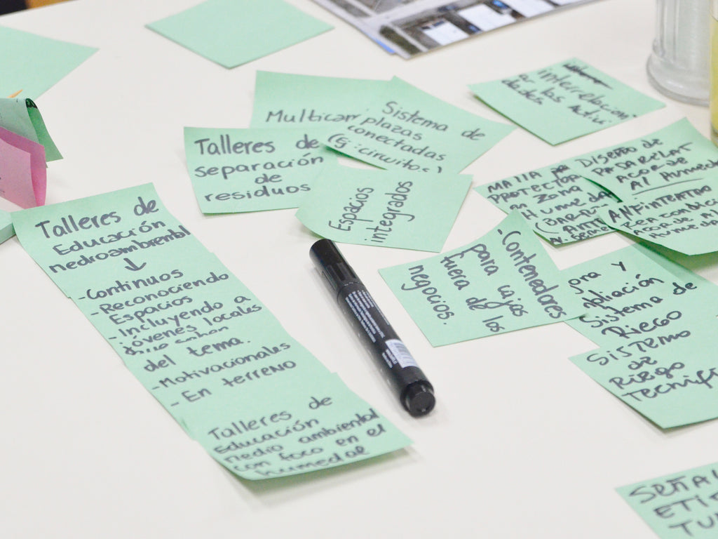 Plan Maestro de Áreas Verdes Puerto Ibáñez