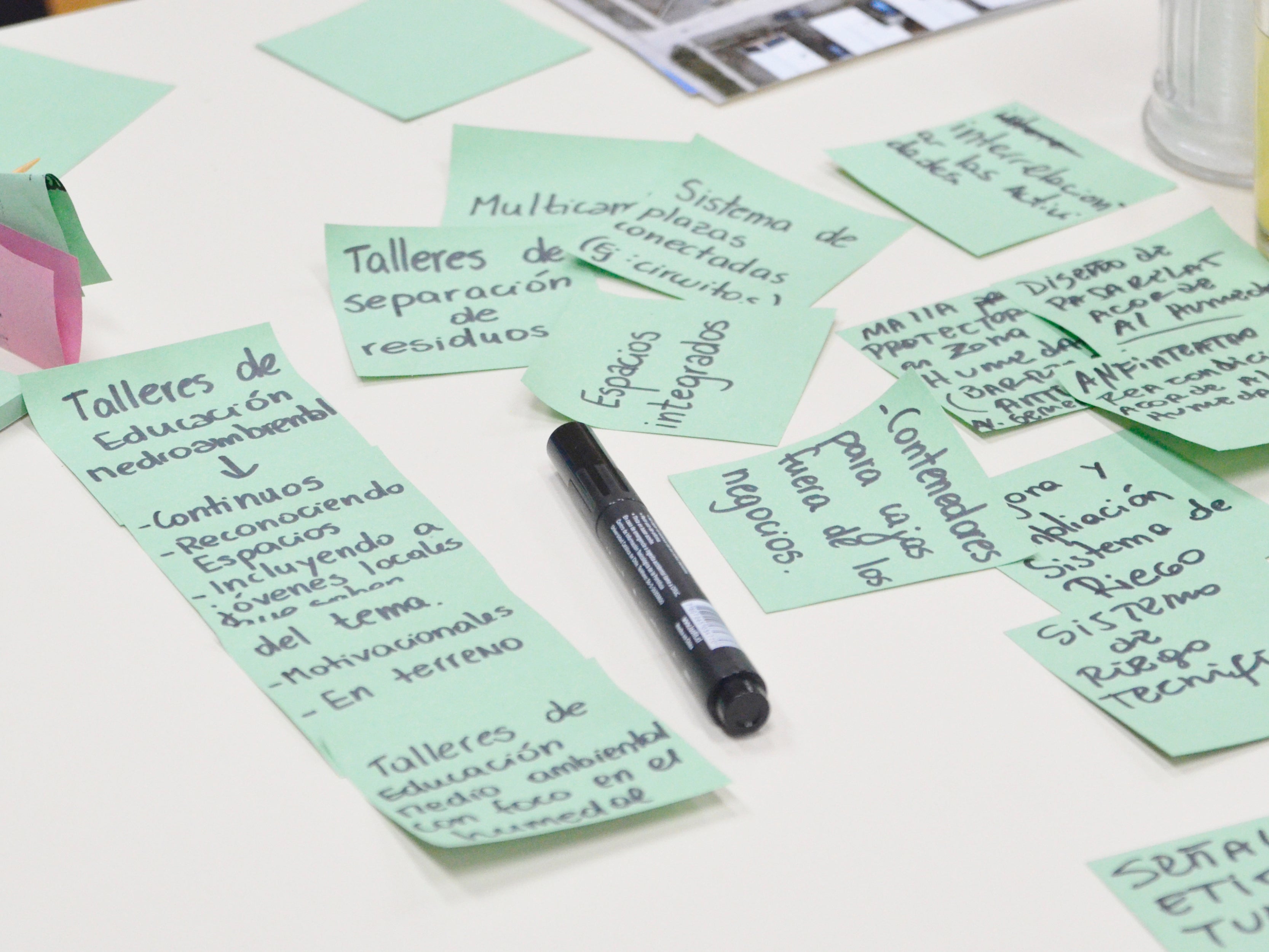 Plan Maestro de Áreas Verdes Puerto Ibáñez