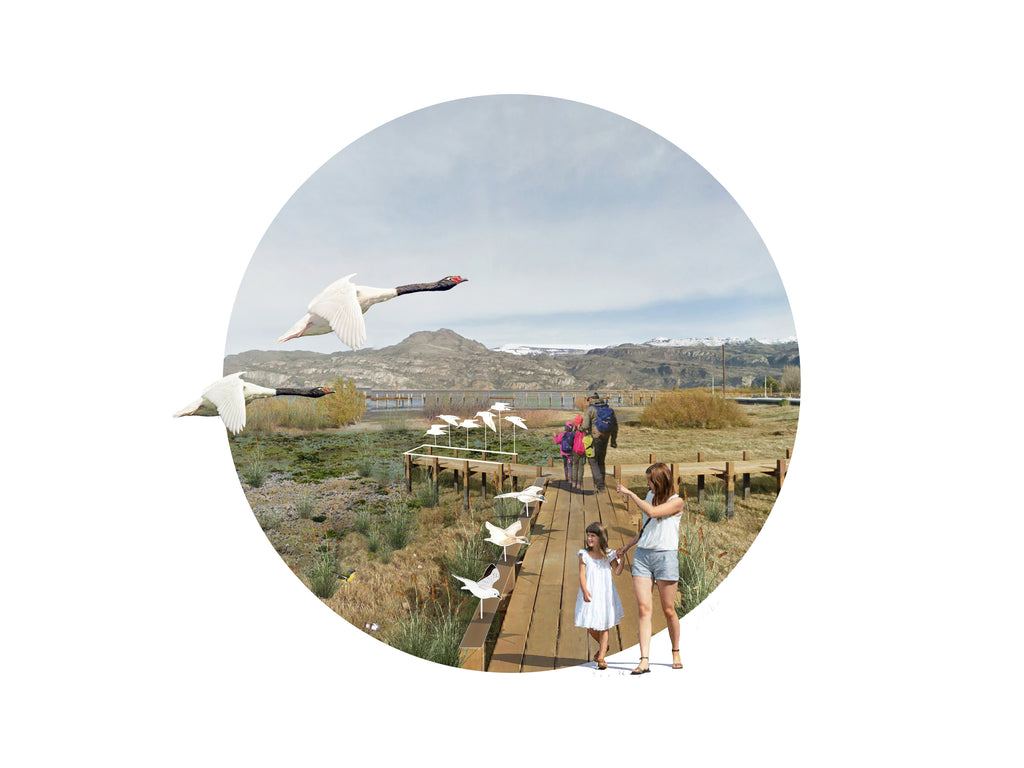 Plan Maestro de Áreas Verdes Puerto Ibáñez