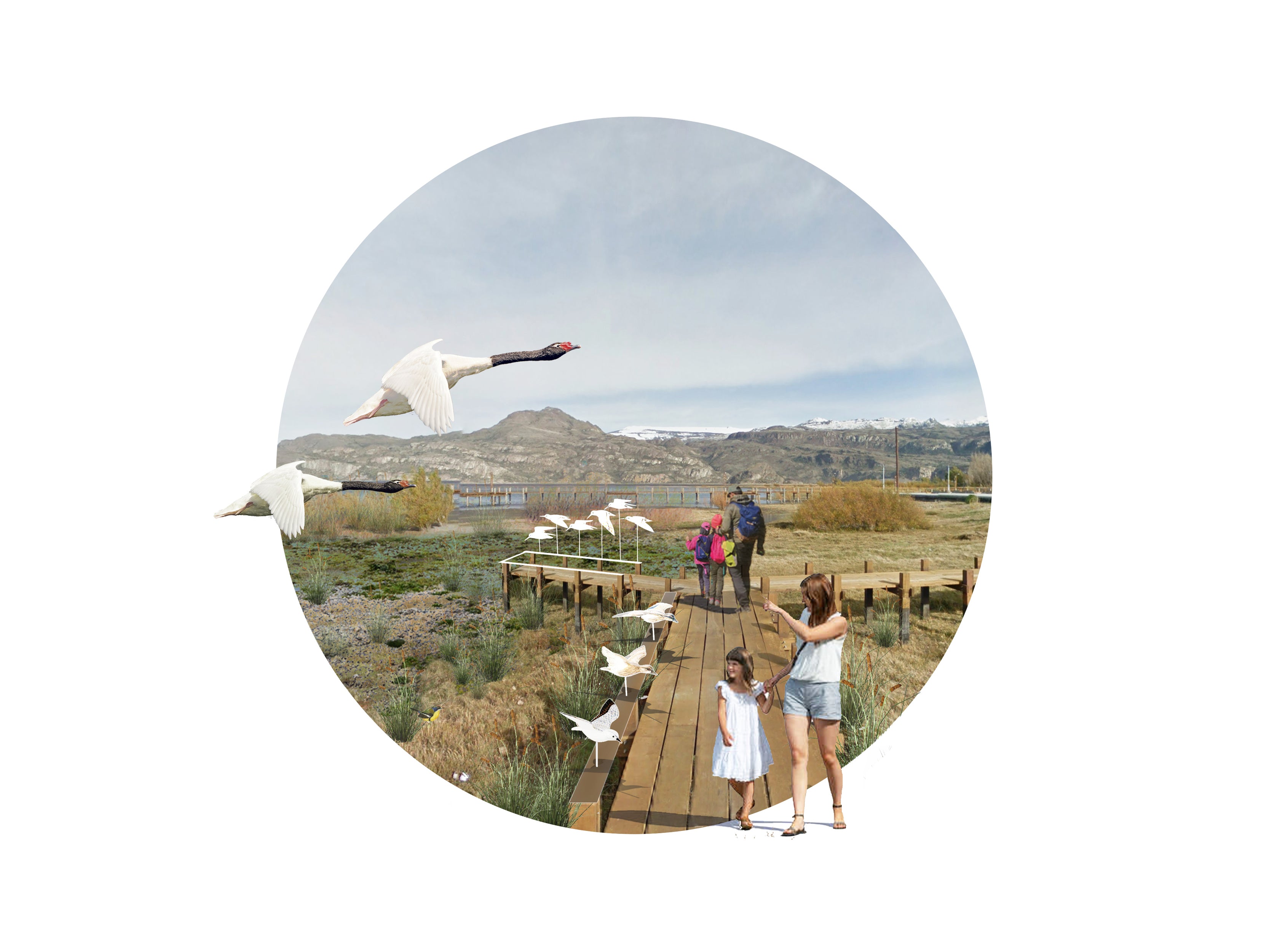 Plan Maestro de Áreas Verdes Puerto Ibáñez